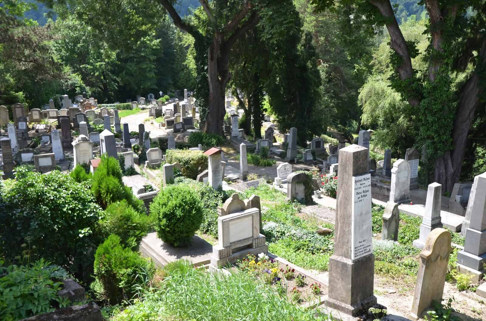 German cemetery in Sighişoara, Romania