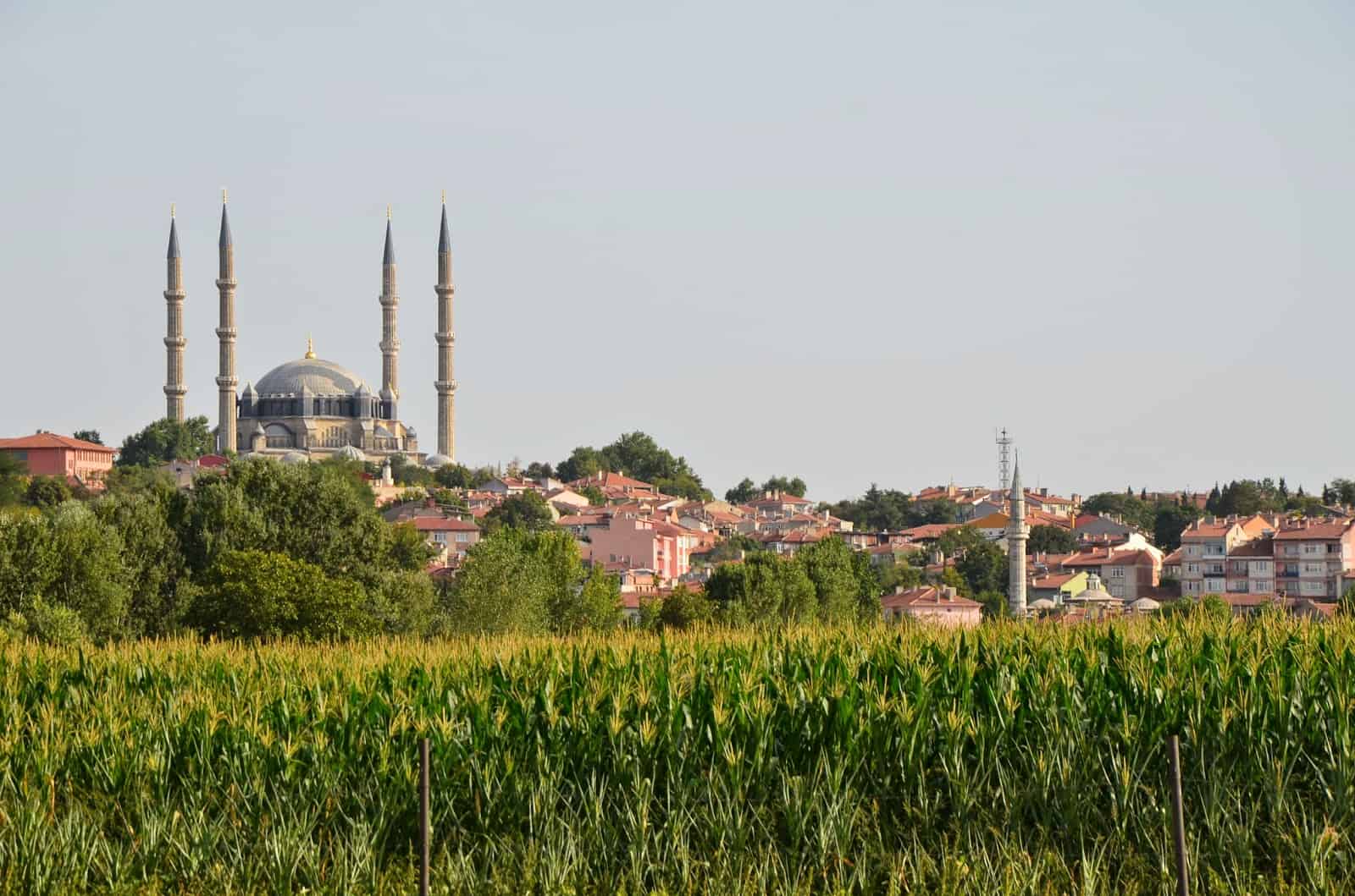 View of Edirne and Selimiye Camii in Edirne, Turkey