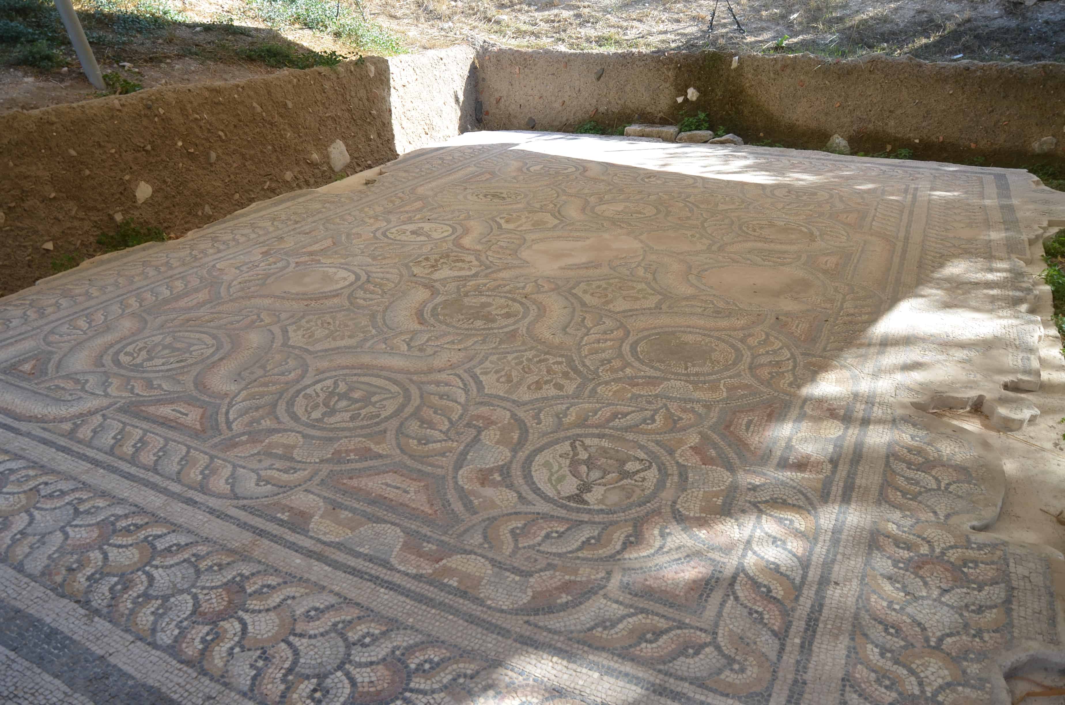 Mosaic at the Roman Odeon in Kos, Greece
