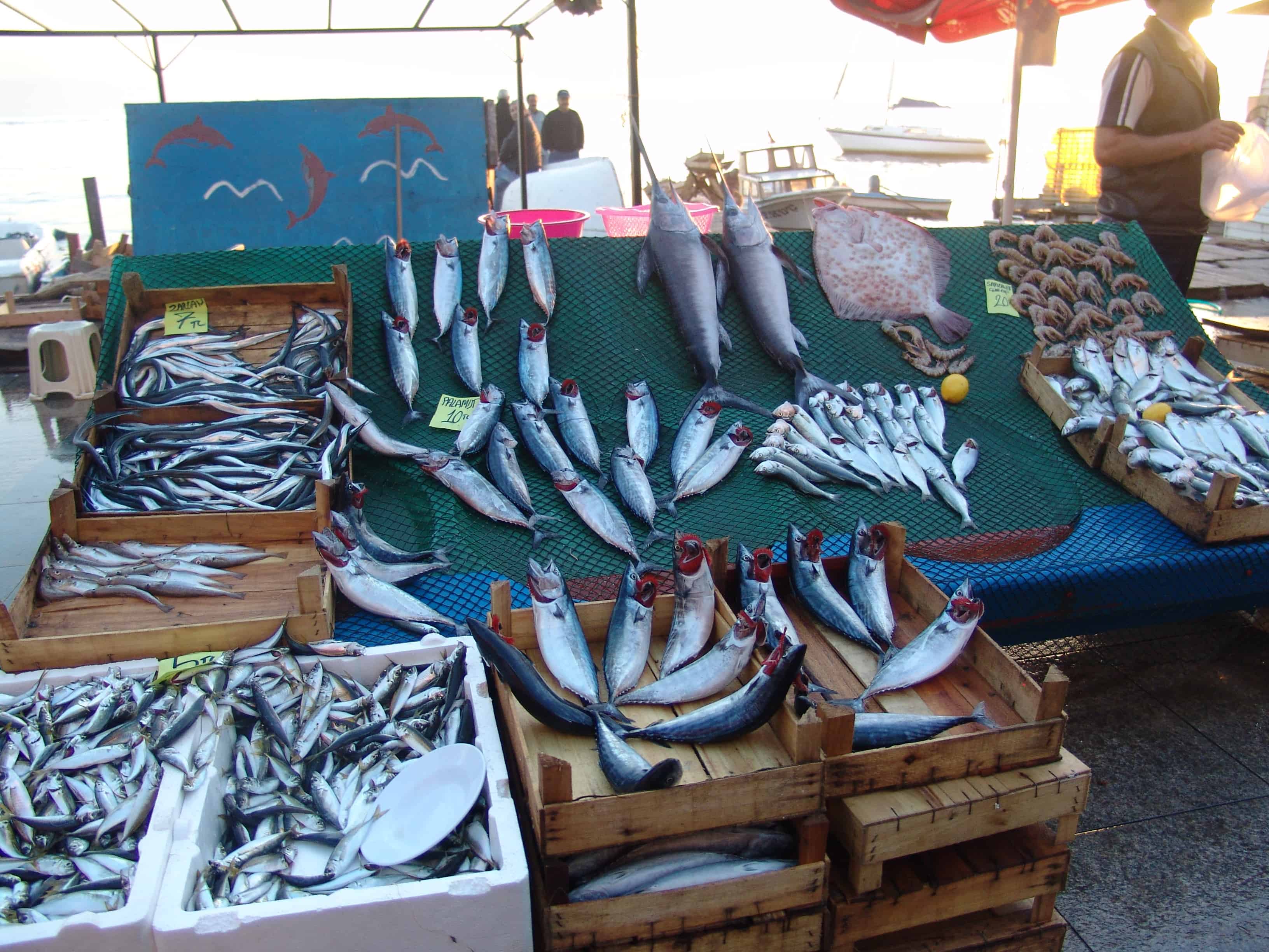 Fish market in Beykoz, Istanbul, Turkey