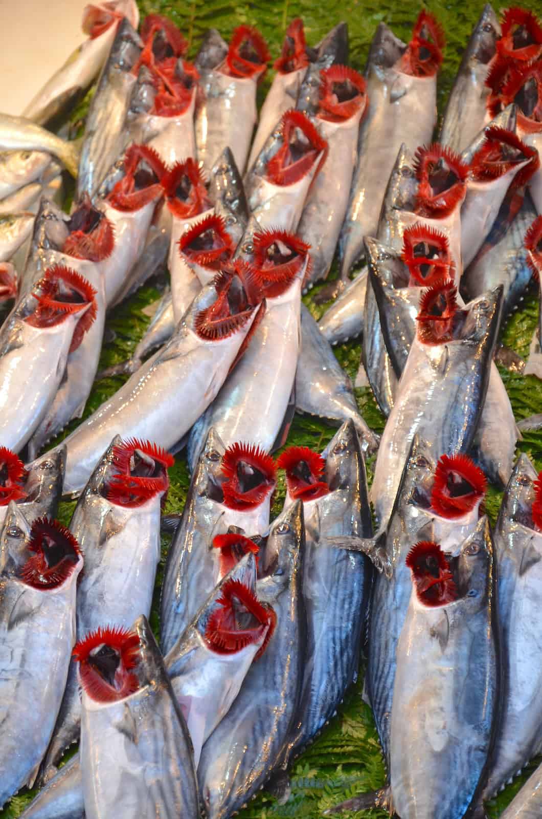 Fresh fish at the Üsküdar Fishermen's Market