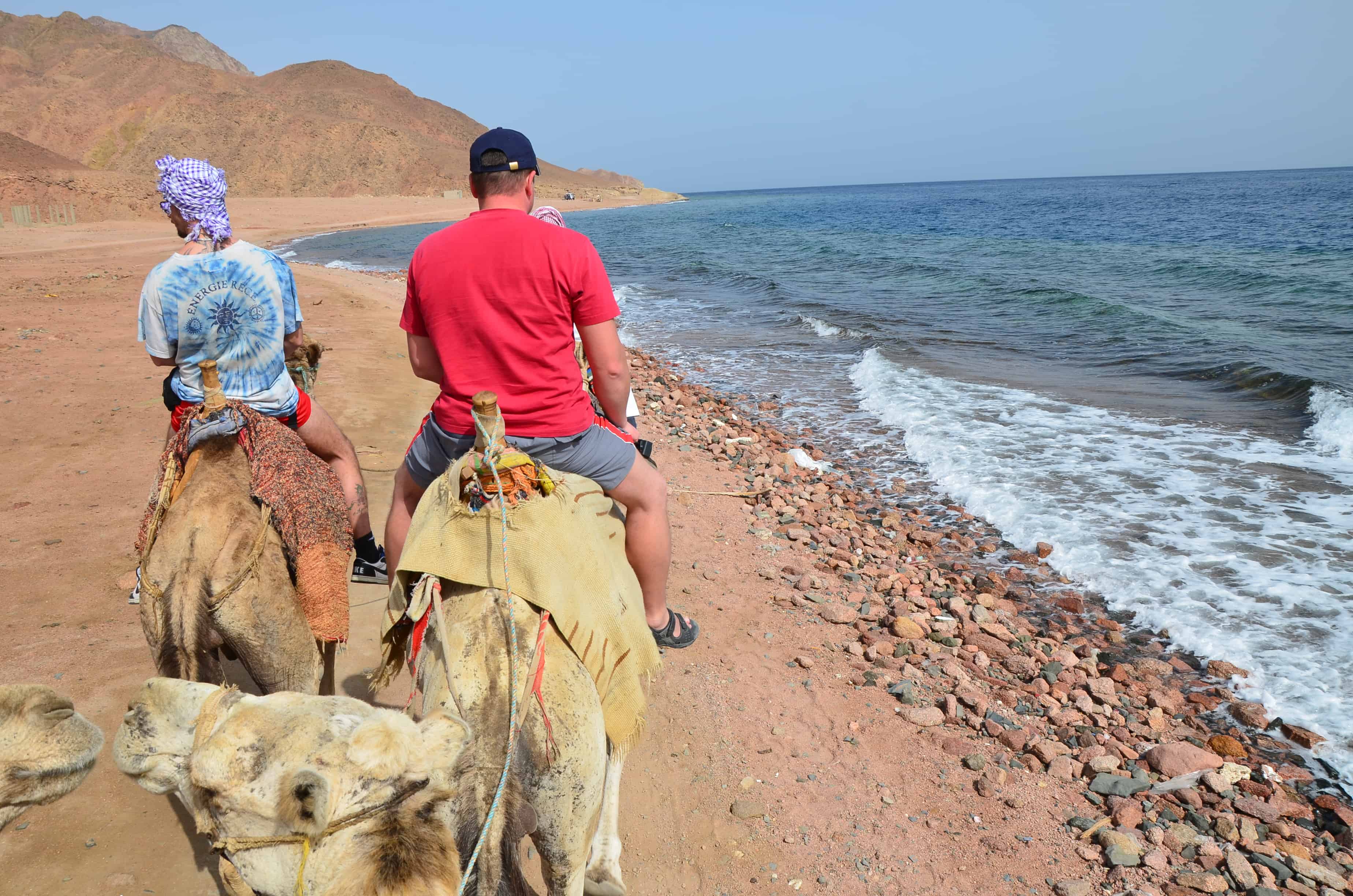 Riding camels on the beach at Abu Galom in Sinai, Egypt