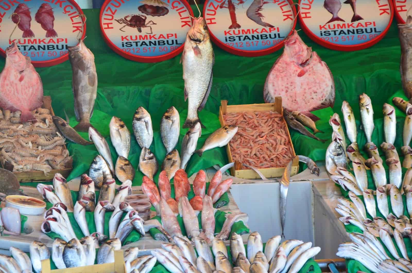 Kumkapı fish market in Kumkapı, Fatih, Istanbul, Turkey