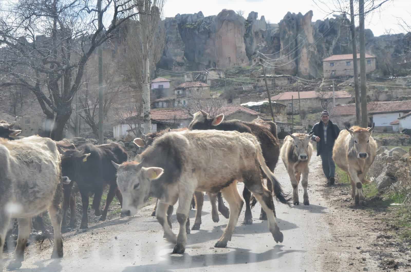 Traffic jam at Yazılıkaya in the Phrygian Valley, Turkey