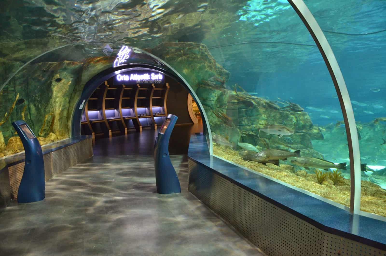 A tunnel through the Atlantic at Istanbul Aquarium in Florya, Istanbul, Turkey