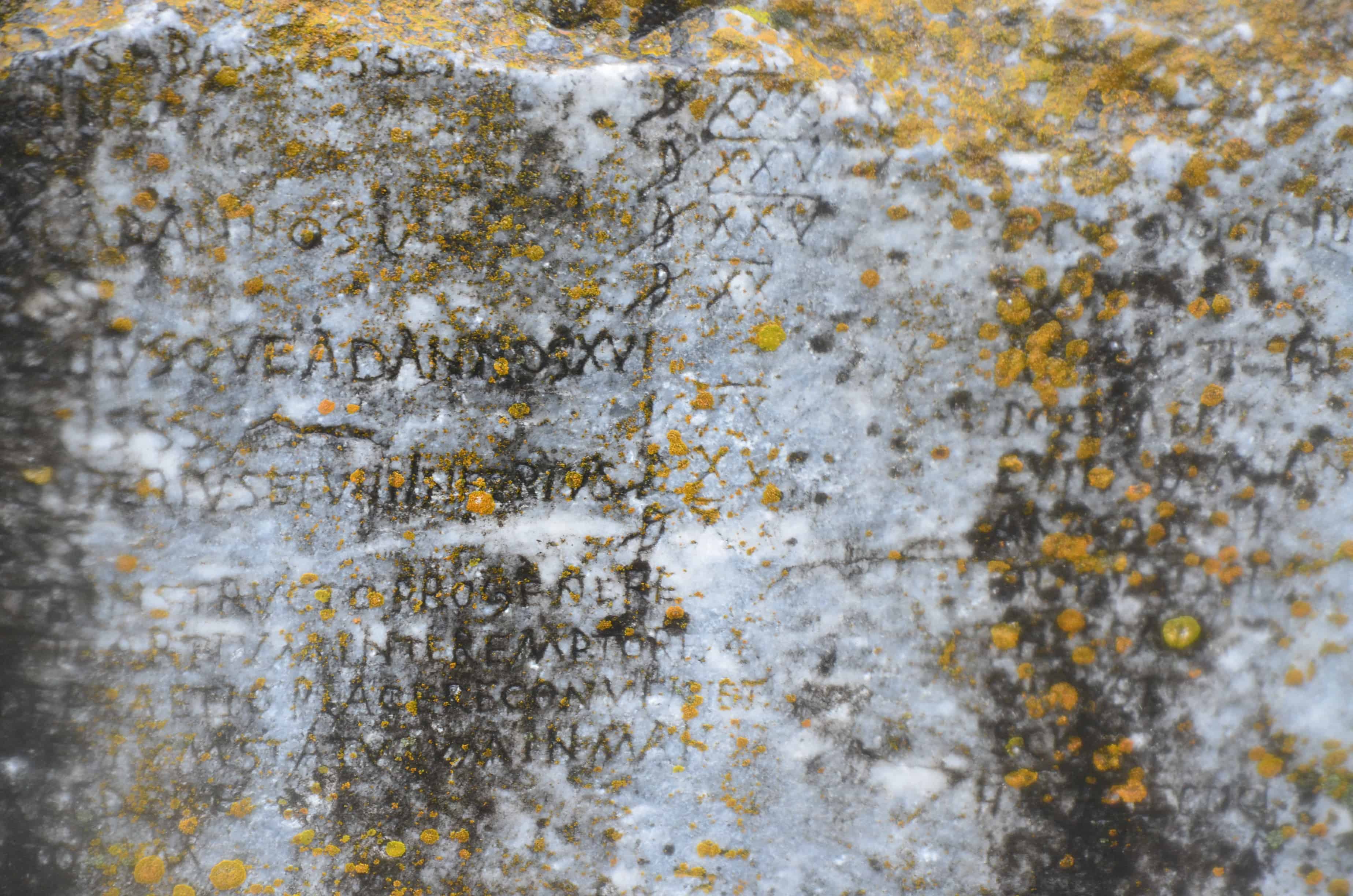 Price Edict of Diocletian at the market at Aizanoi, Çavdarhisar, Turkey