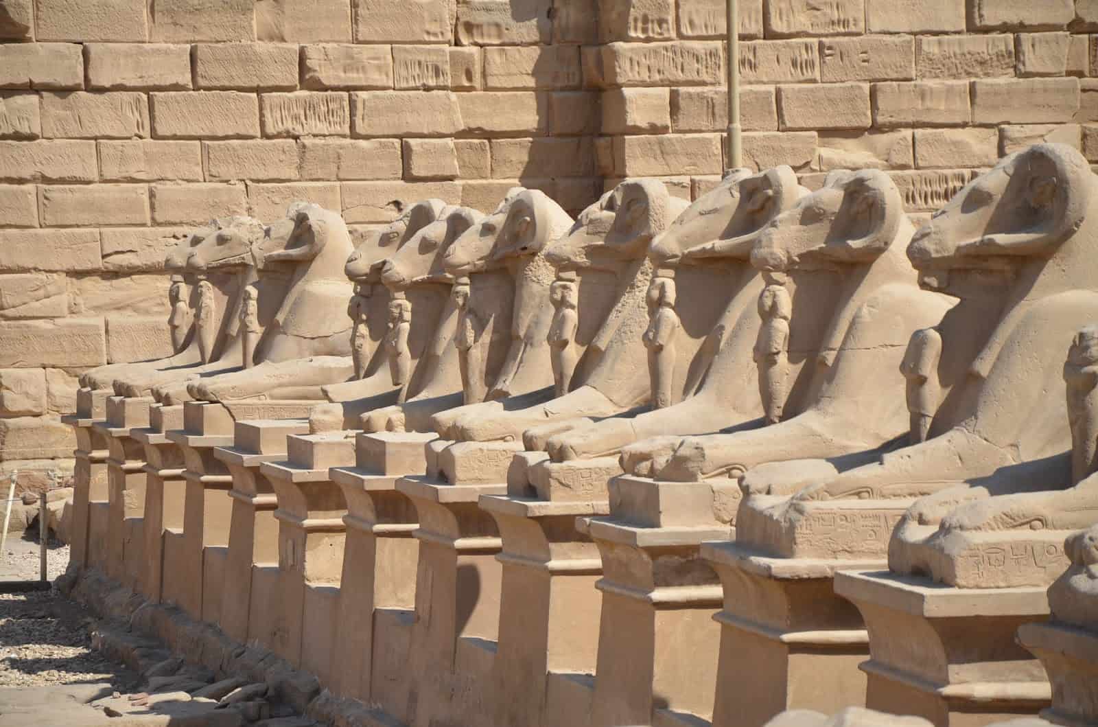 Row of sphinxes at Karnak Temple in Luxor, Egypt
