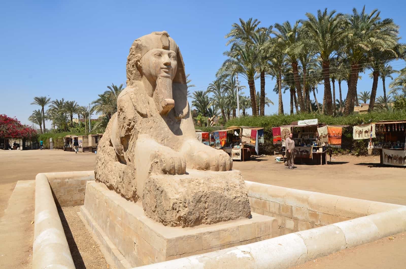 Sphinx in Memphis, Egypt