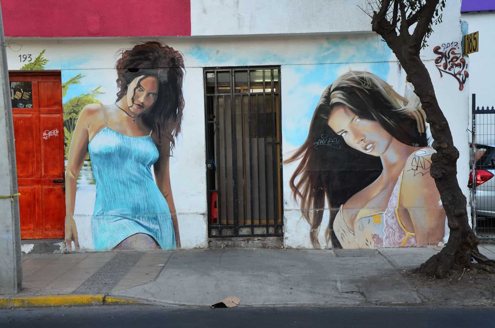 Mural on Calle Purisima in Bellavista, Santiago de Chile