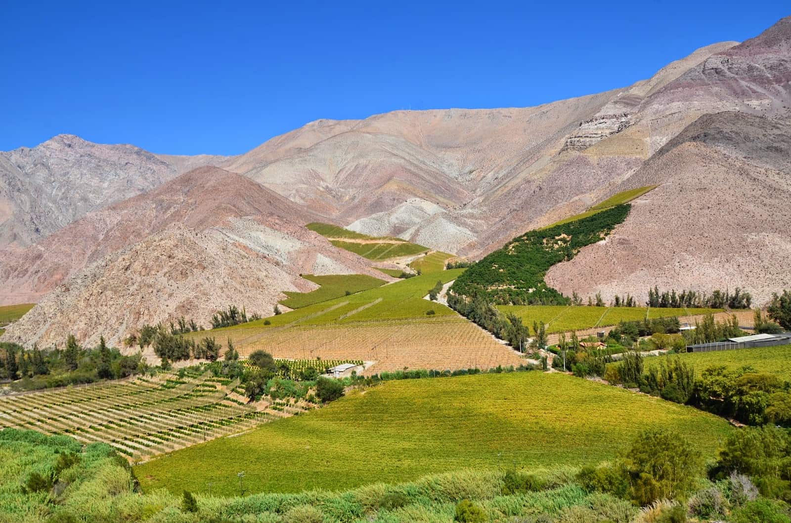 Elqui Valley, Chile