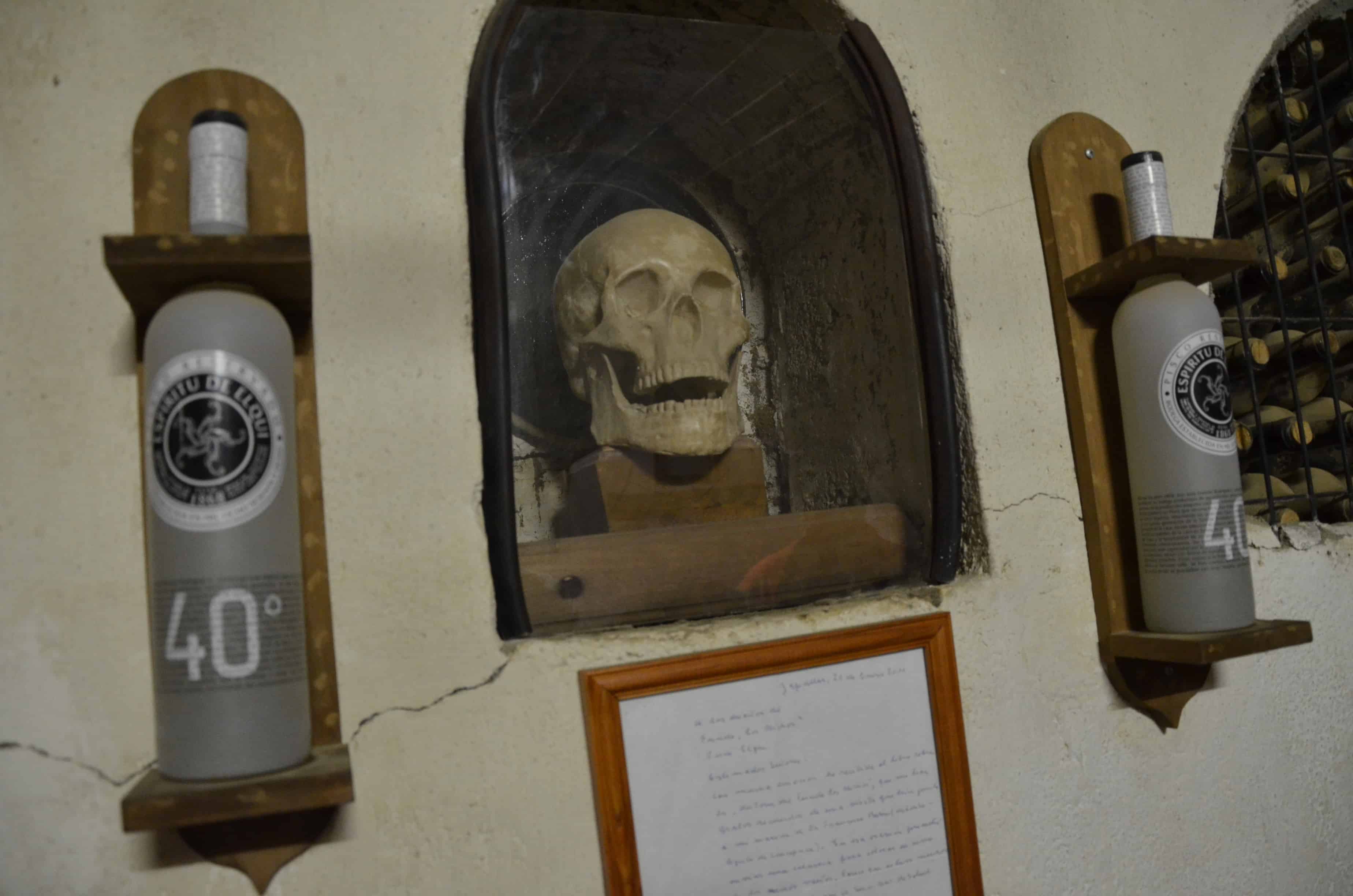 Skull at Los Nichos Distillery in Pisco Elqui, Elqui Valley, Chile