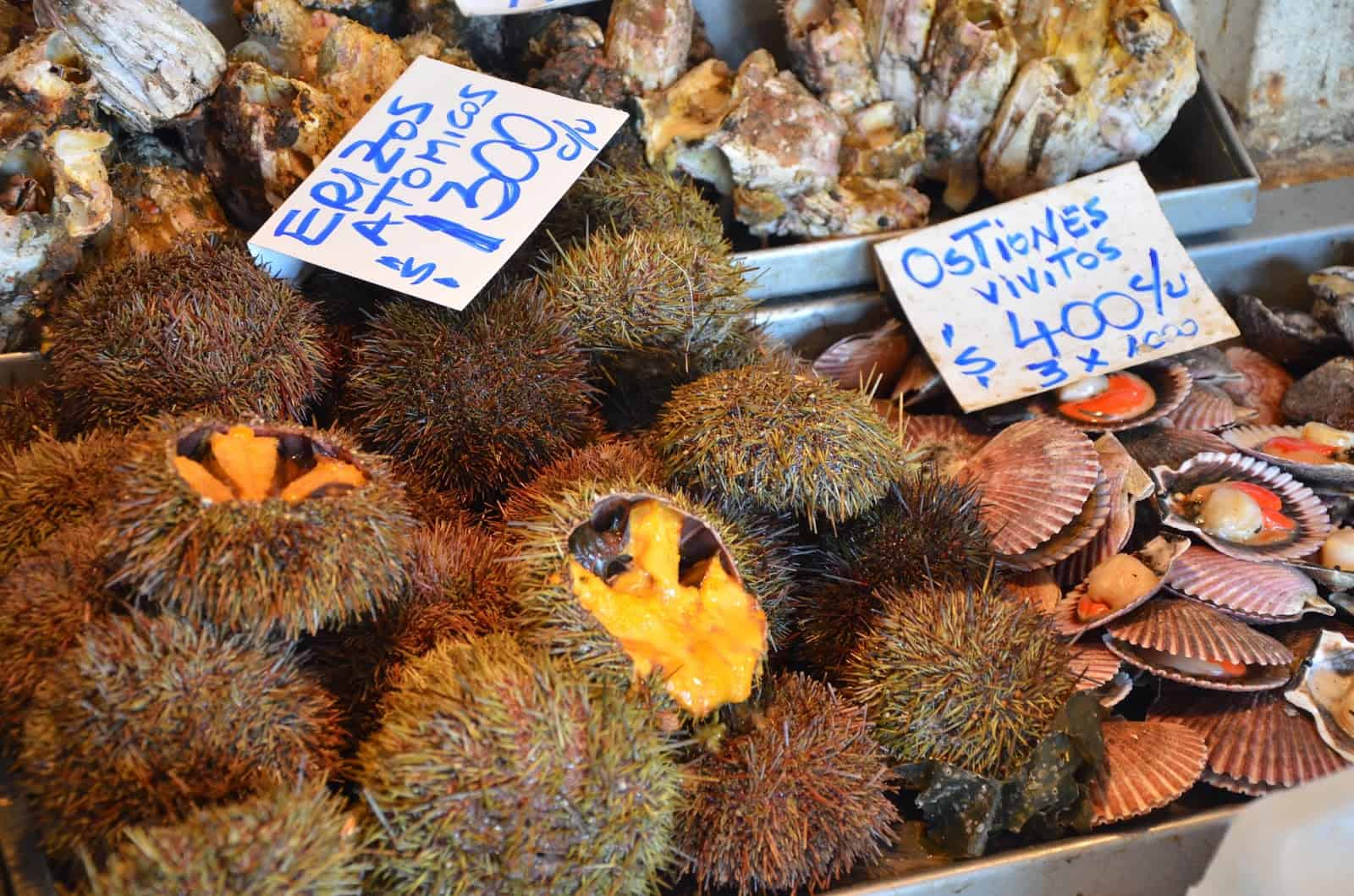 Sea urchins at Mercado Central in Santiago de Chile