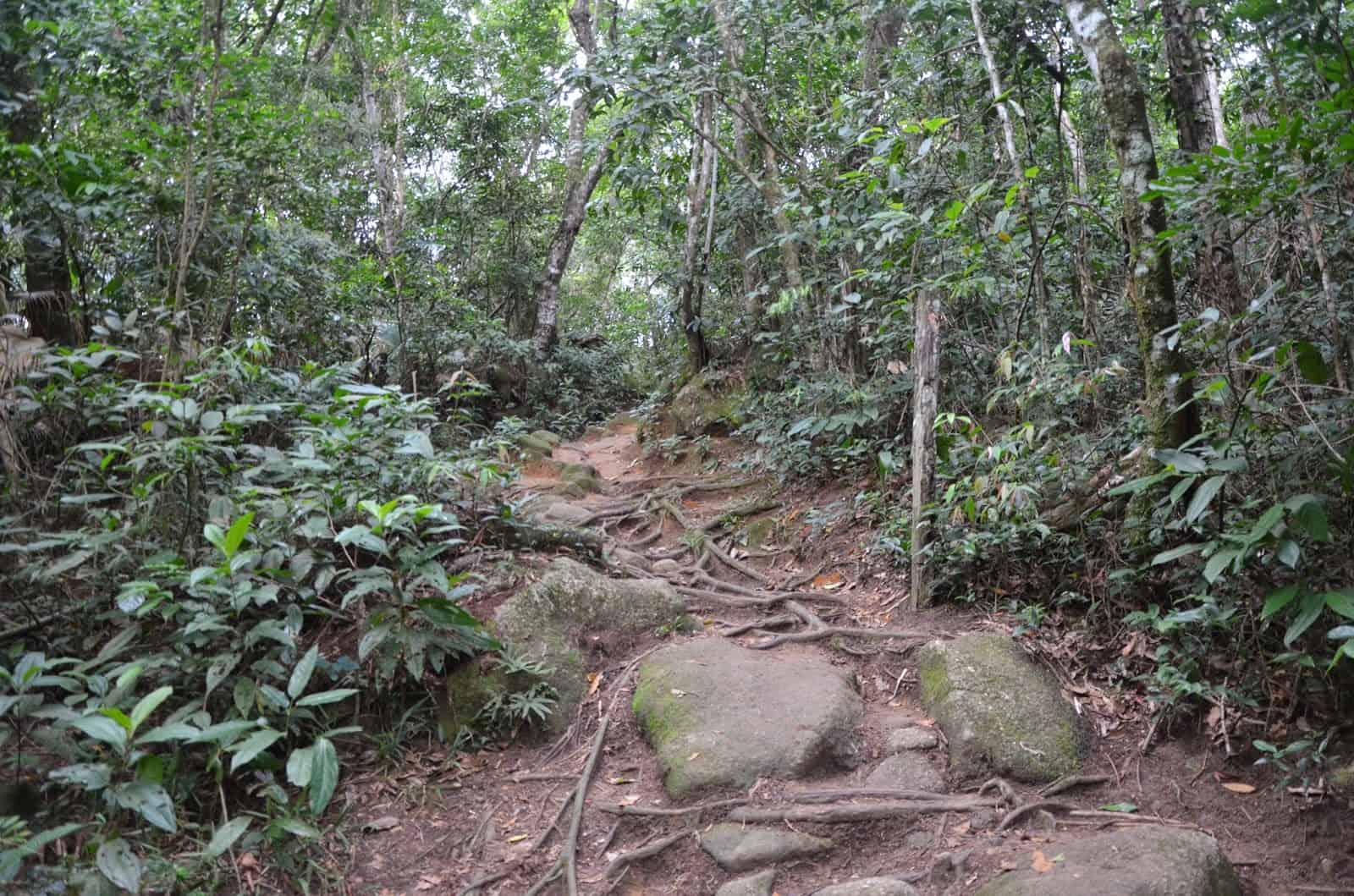 Hiking Trail T10 on Ilha Grande, Brazil