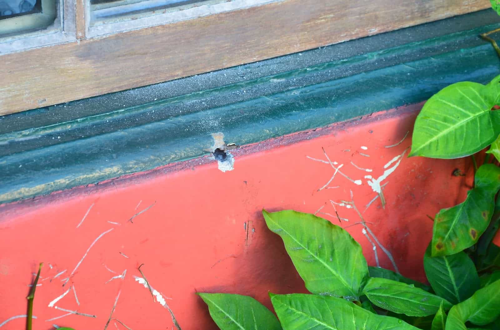 Bullethole in the front of the hostel in Ilhabela, Brazil