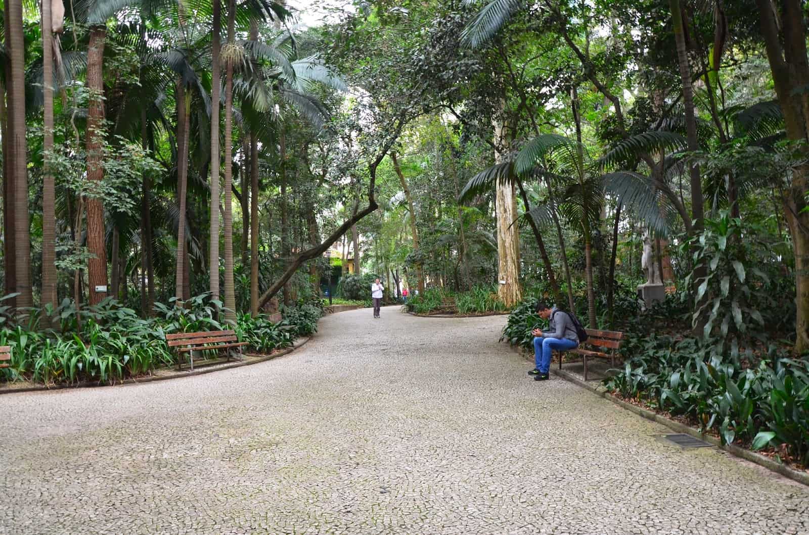 Parque Trianon in São Paulo, Brazil