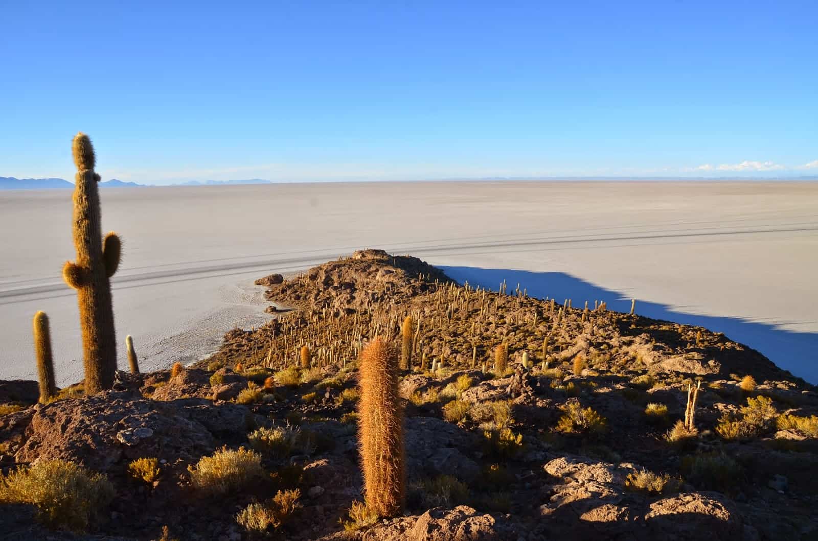 Incahuasi at Uyuni Salt Flat, Bolivia