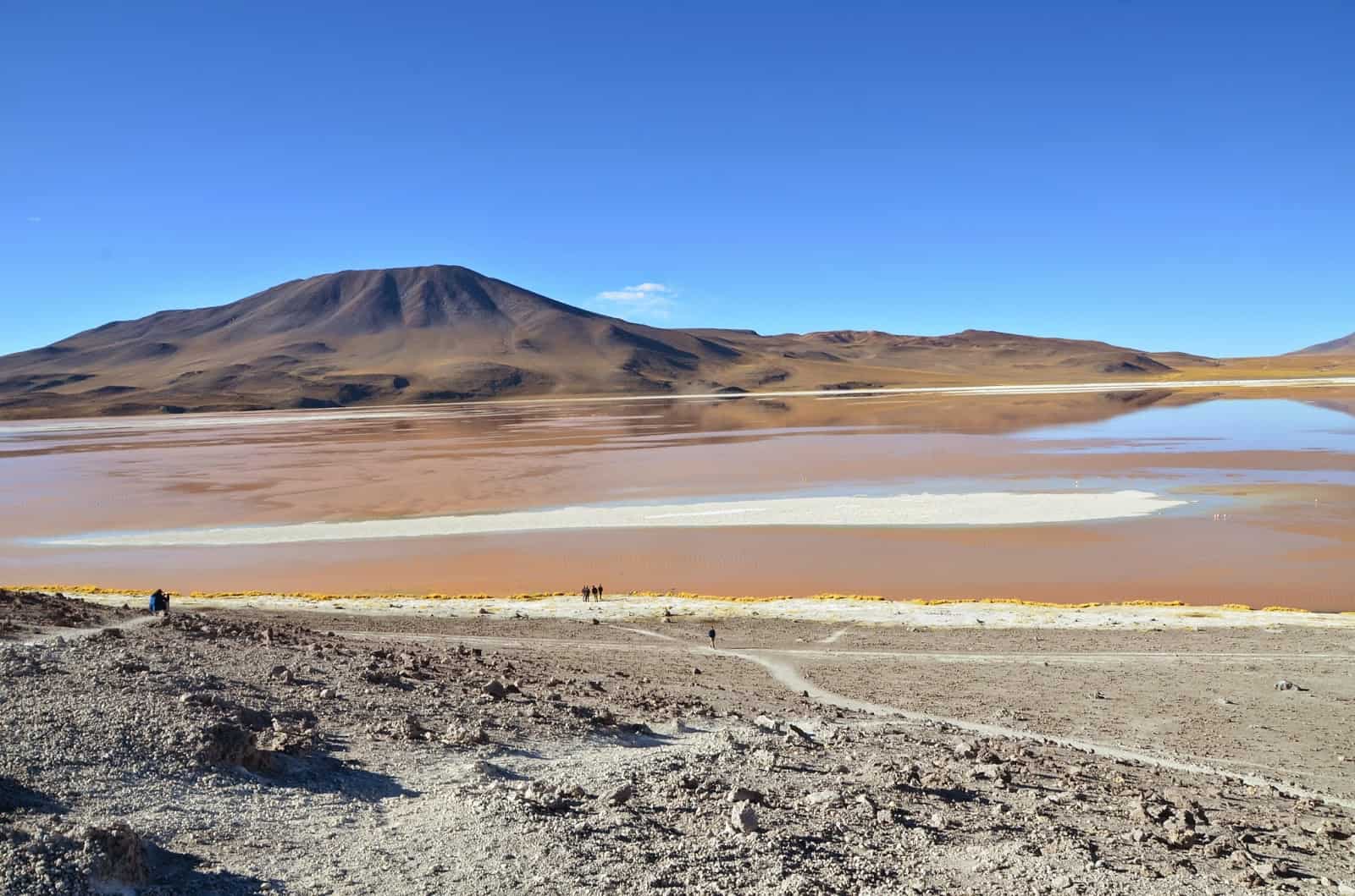Laguna Colorada at Reserva Nacional de Fauna Andina Eduardo Abaroa, Bolivia