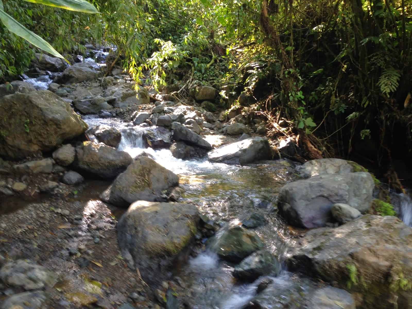 A stream at Parque Municipal Natural Santa Emilia, Belén de Umbría, Risaralda, Colombia