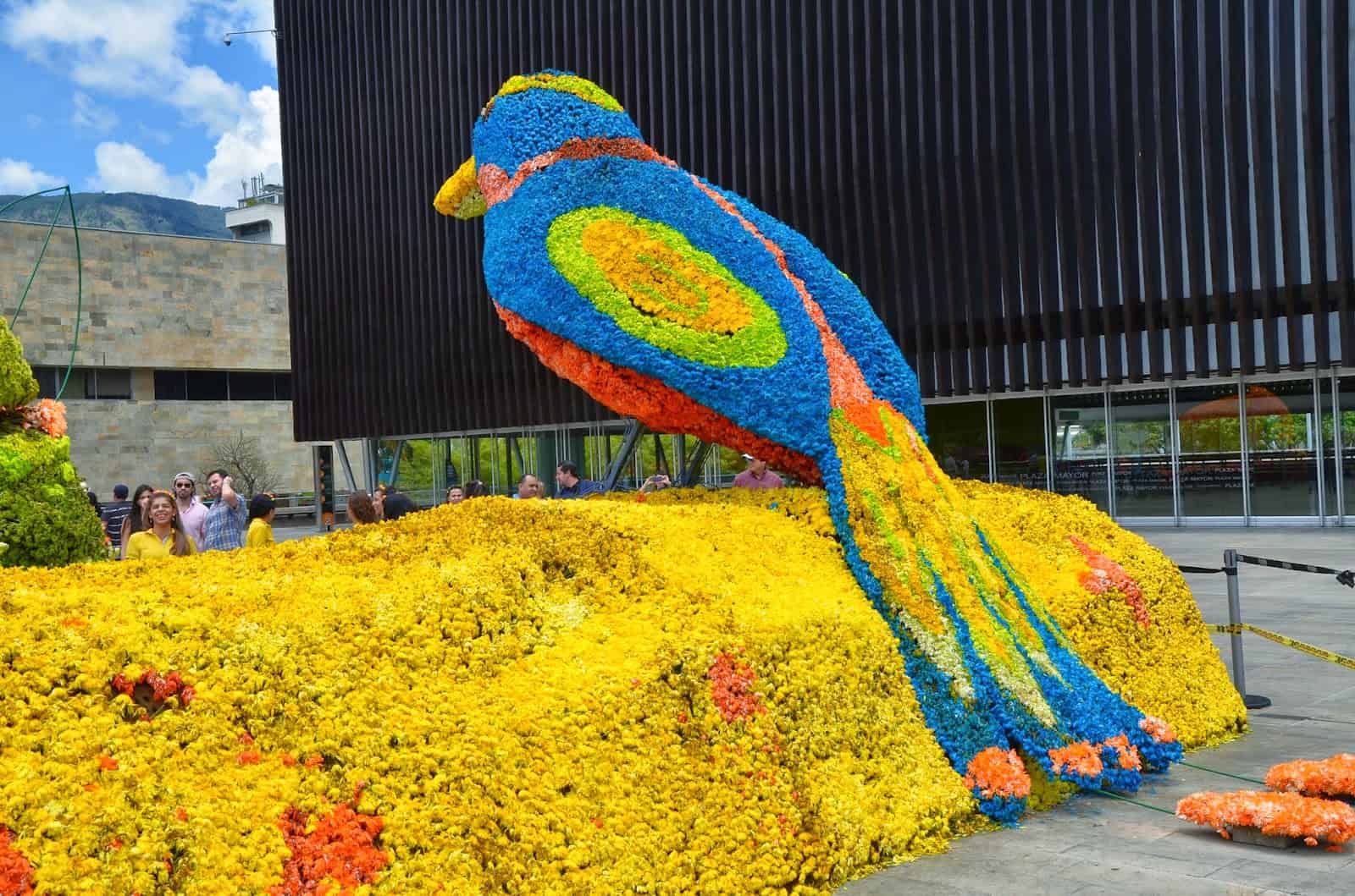 Bird at Plaza Mayor in the Flower Festival, Medellín, Antioquia, Colombia