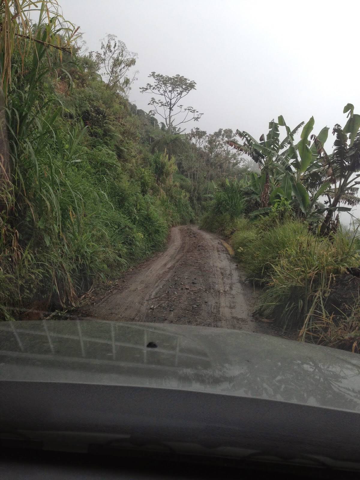 The road to La Tribuna, Belén de Umbría, Risaralda, Colombia