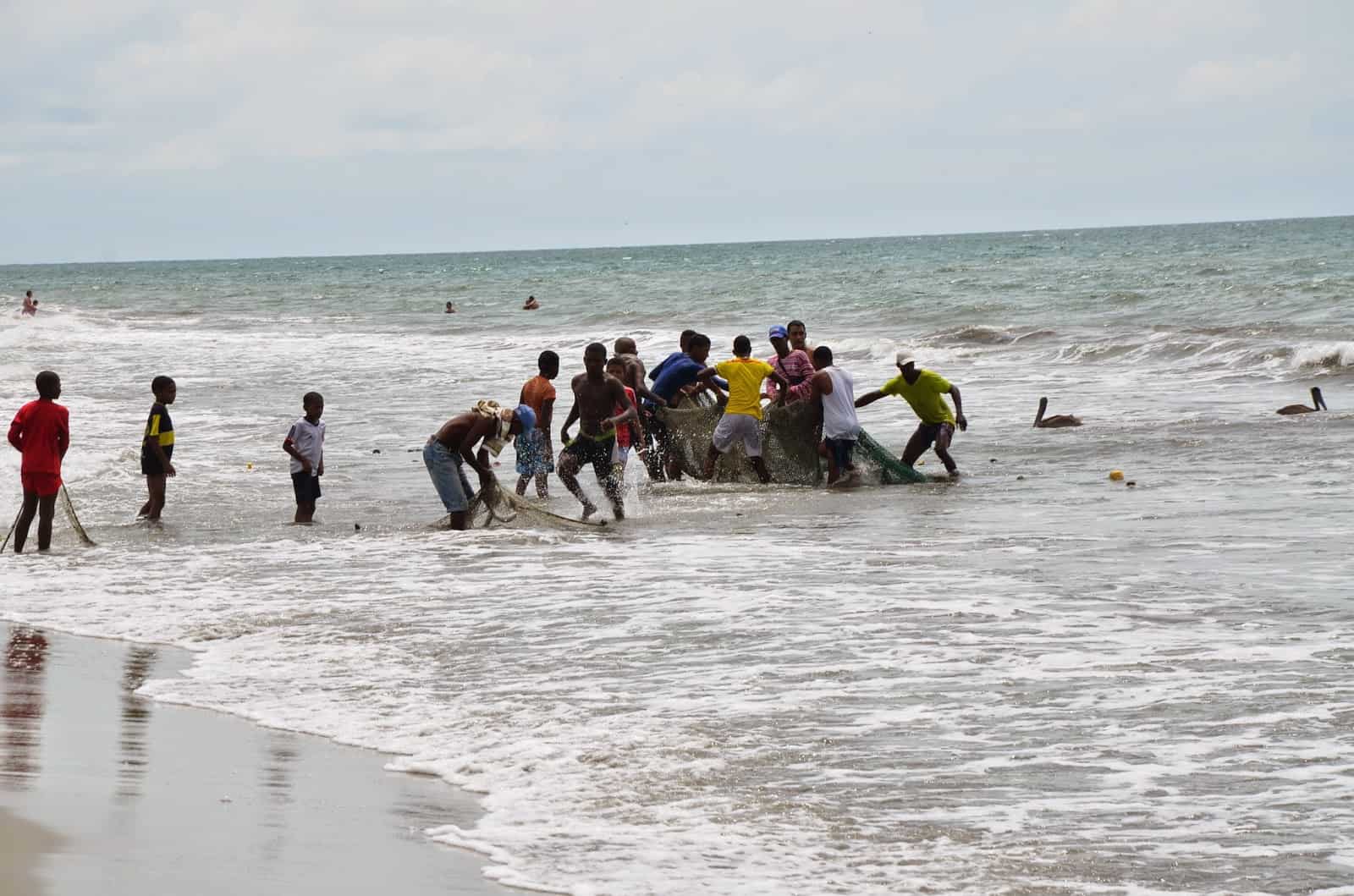 Fishermen bringing in the nets at Manzanillo del Mar, Bolívar, Colombia