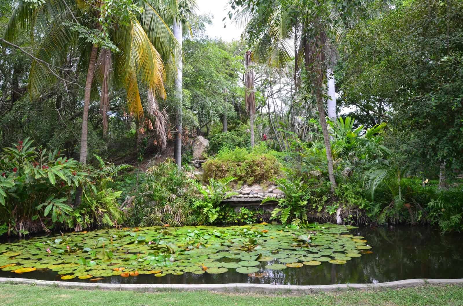Botanical garden at La Quinta de San Pedro Alejandrino in Santa Marta, Magdalena, Colombia