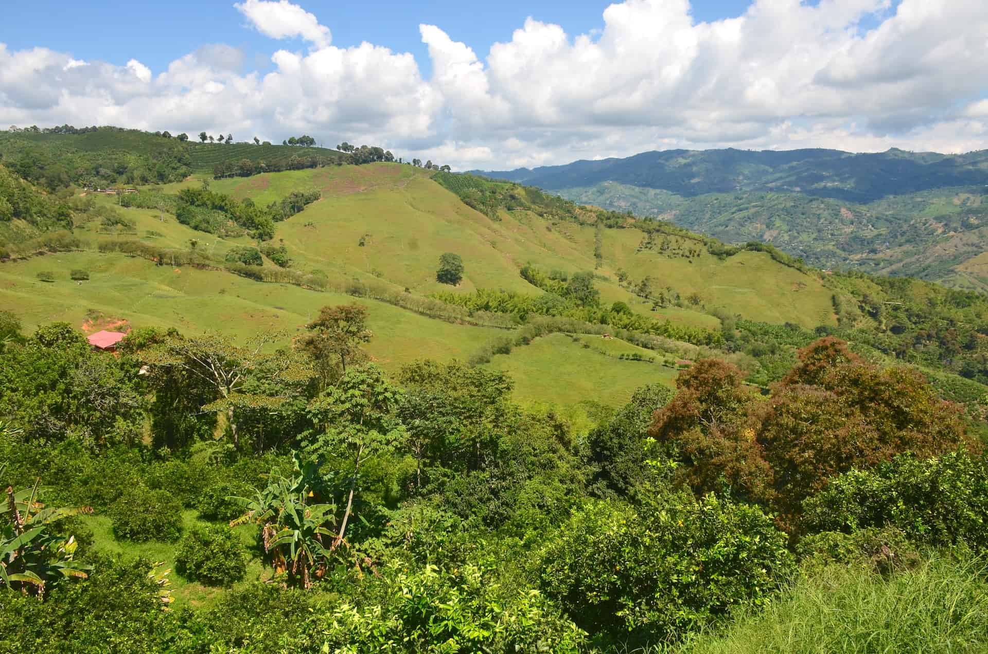 View from Hacienda San Isidro