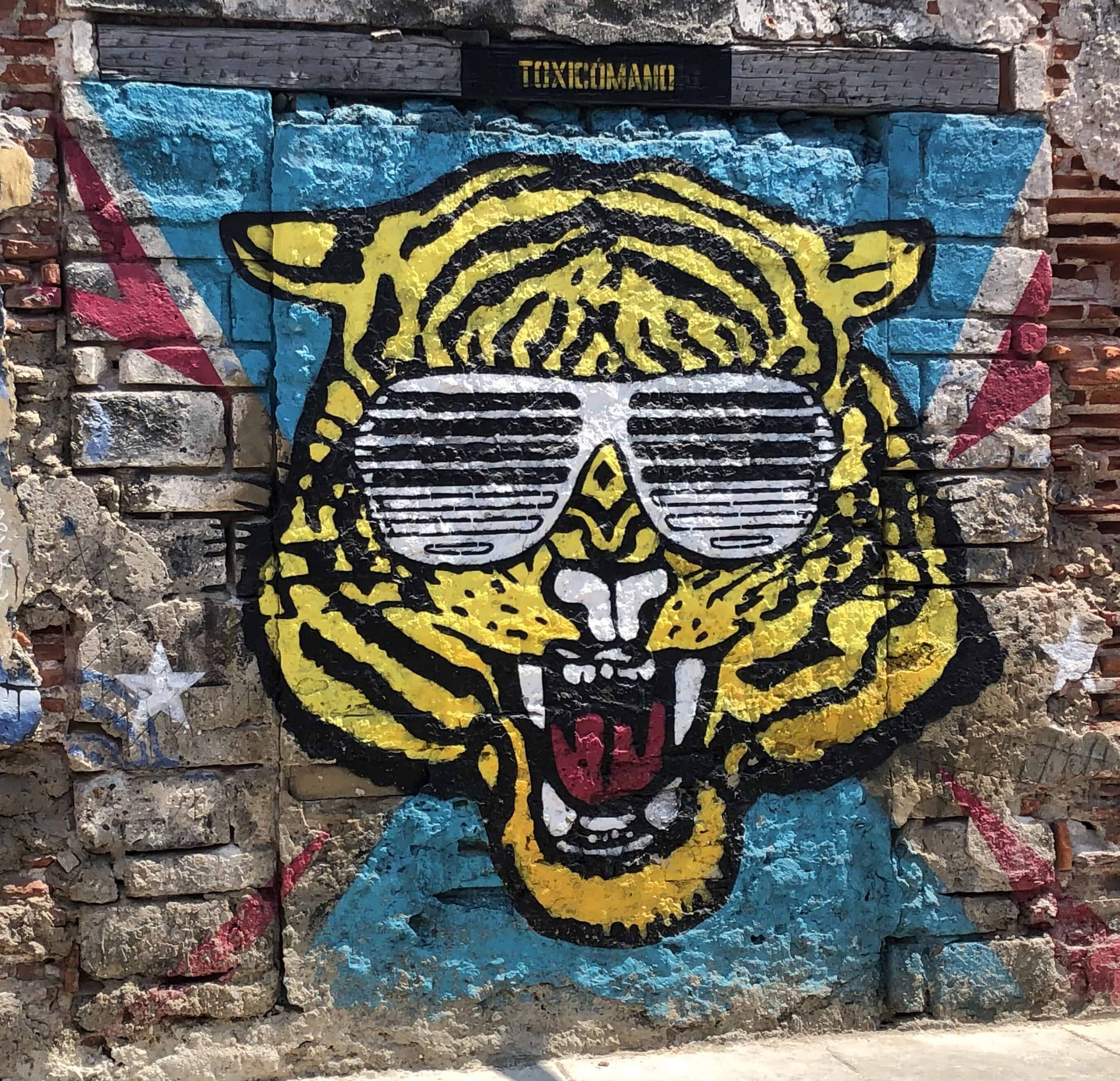 Tiger on Calle de la Sierpe