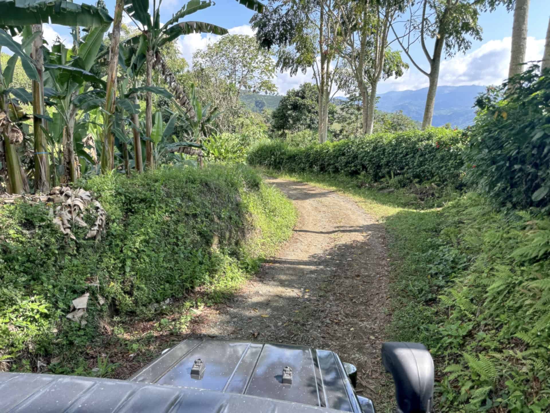Road to Cascada Los Ángeles from Hacienda San Isidro in Taparcal, Belén de Umbría, Risaralda, Colombia