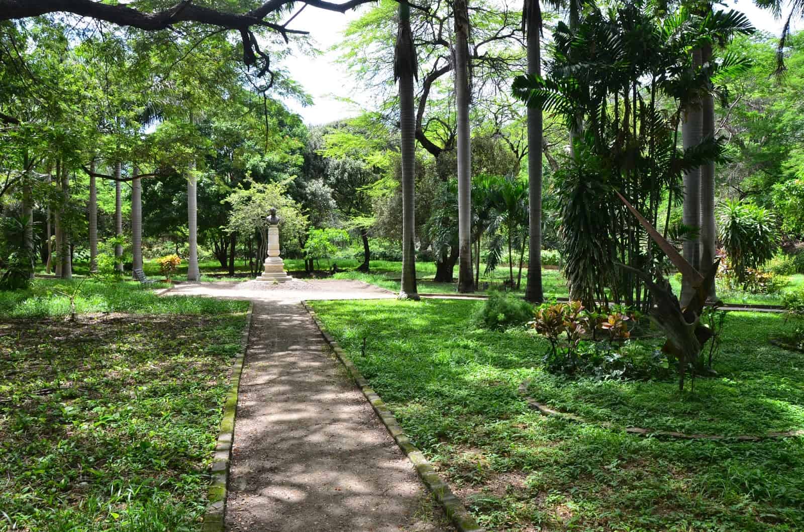 Botanical garden at La Quinta de San Pedro Alejandrino in Santa Marta, Magdalena, Colombia