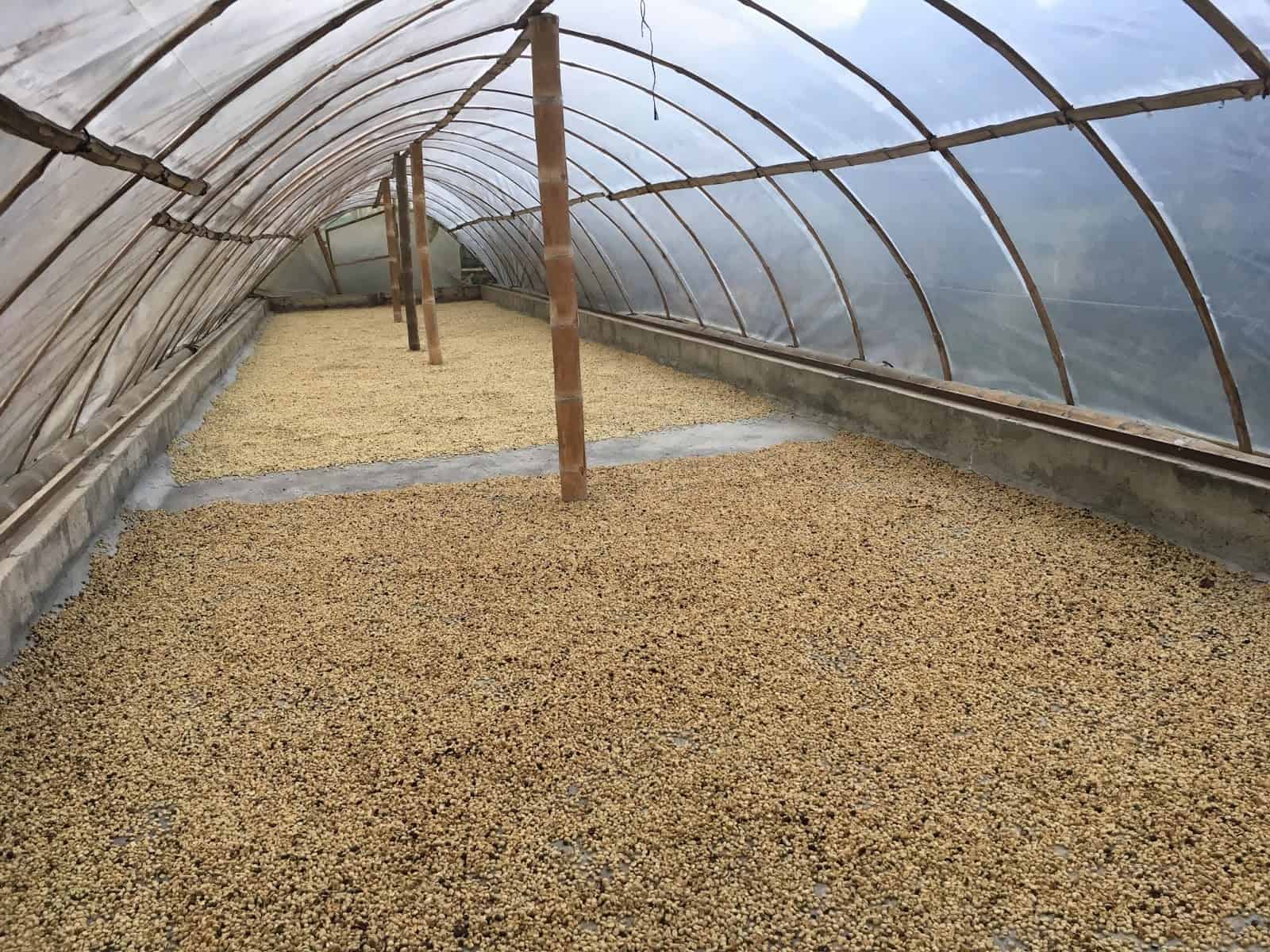 Coffee processing area at Finca El Ocaso near Salento, Quindío, Colombia