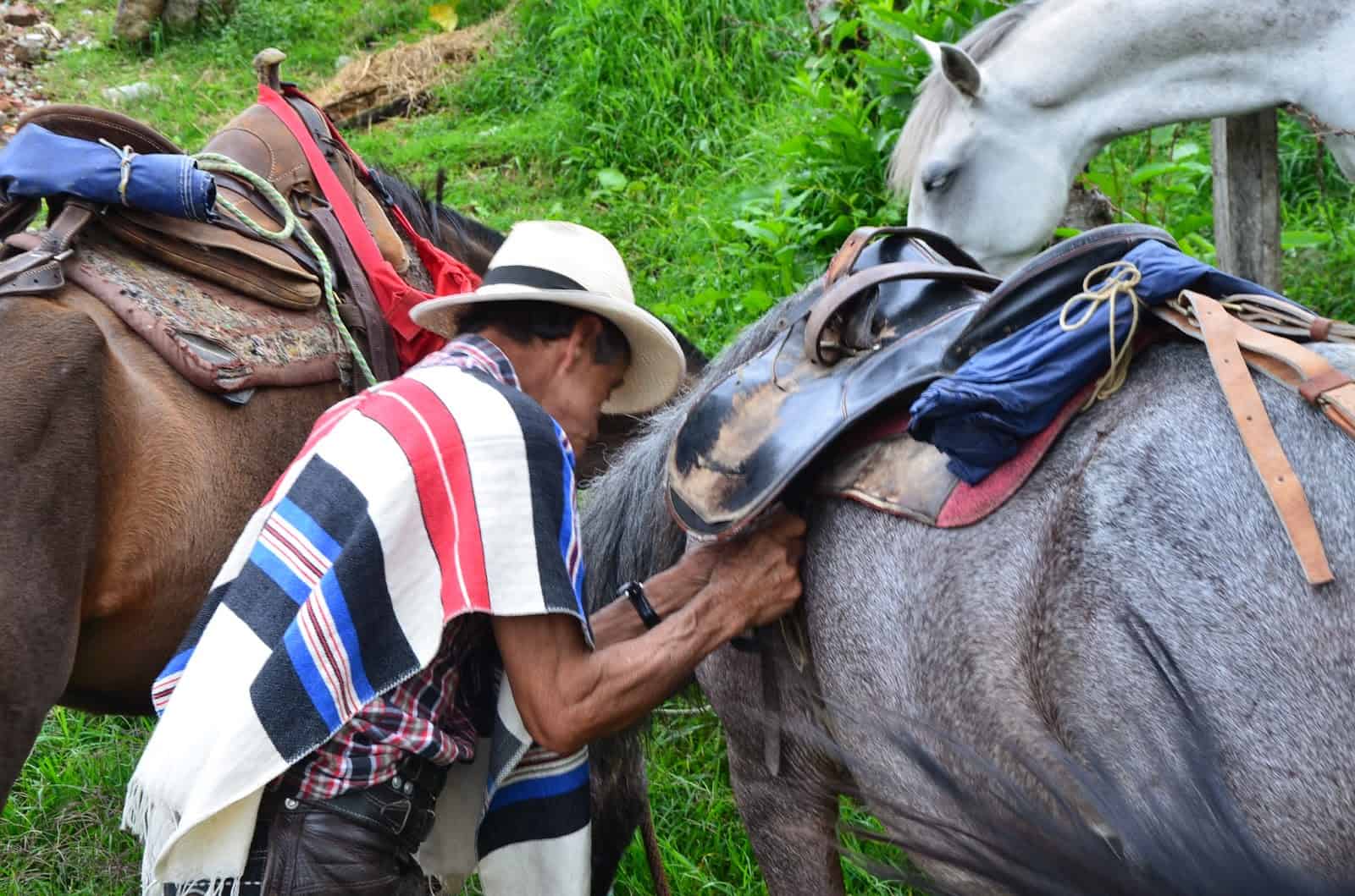 Getting the horses ready in Salento, Quindío, Colombia