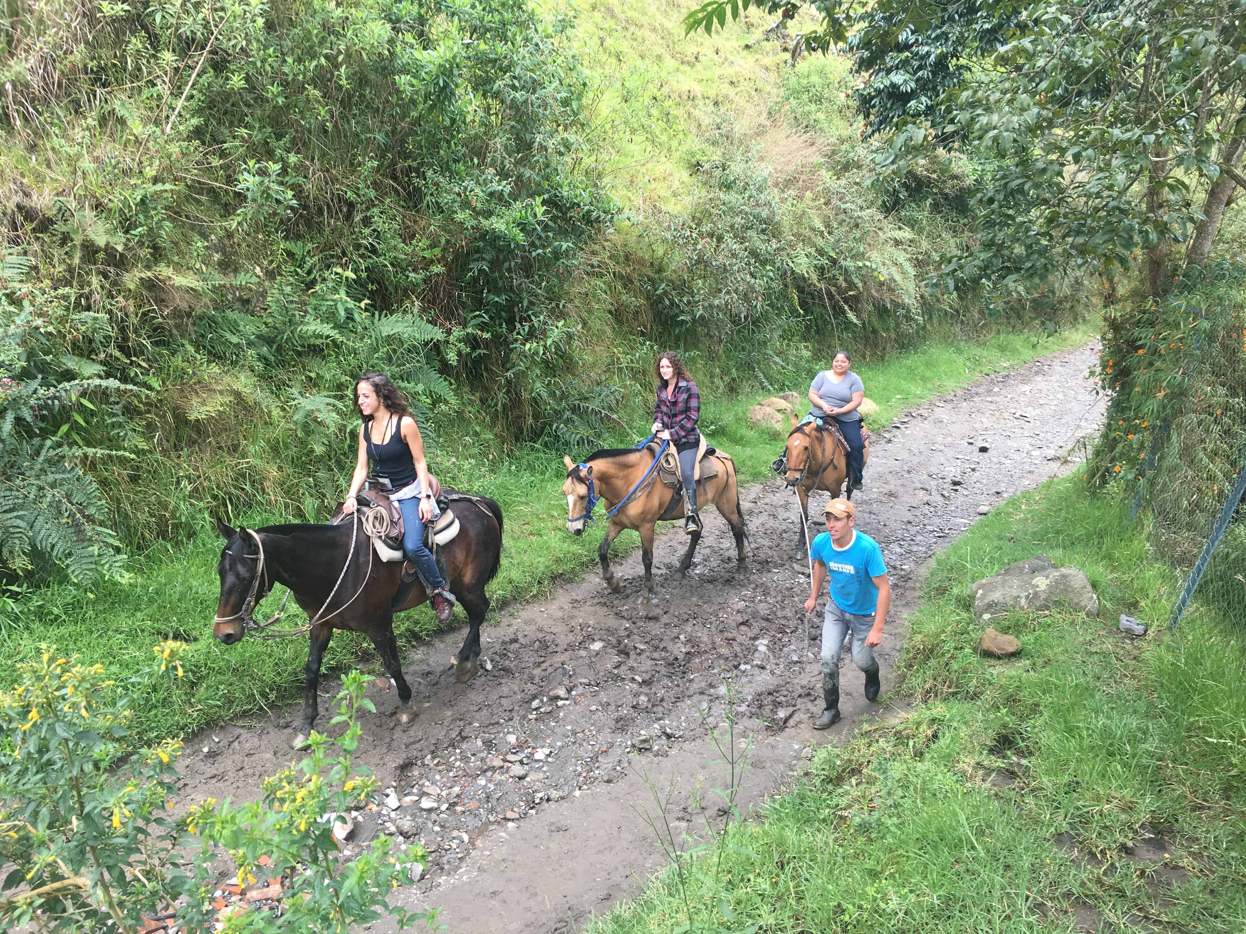 Horseback riding at Cocora Valley