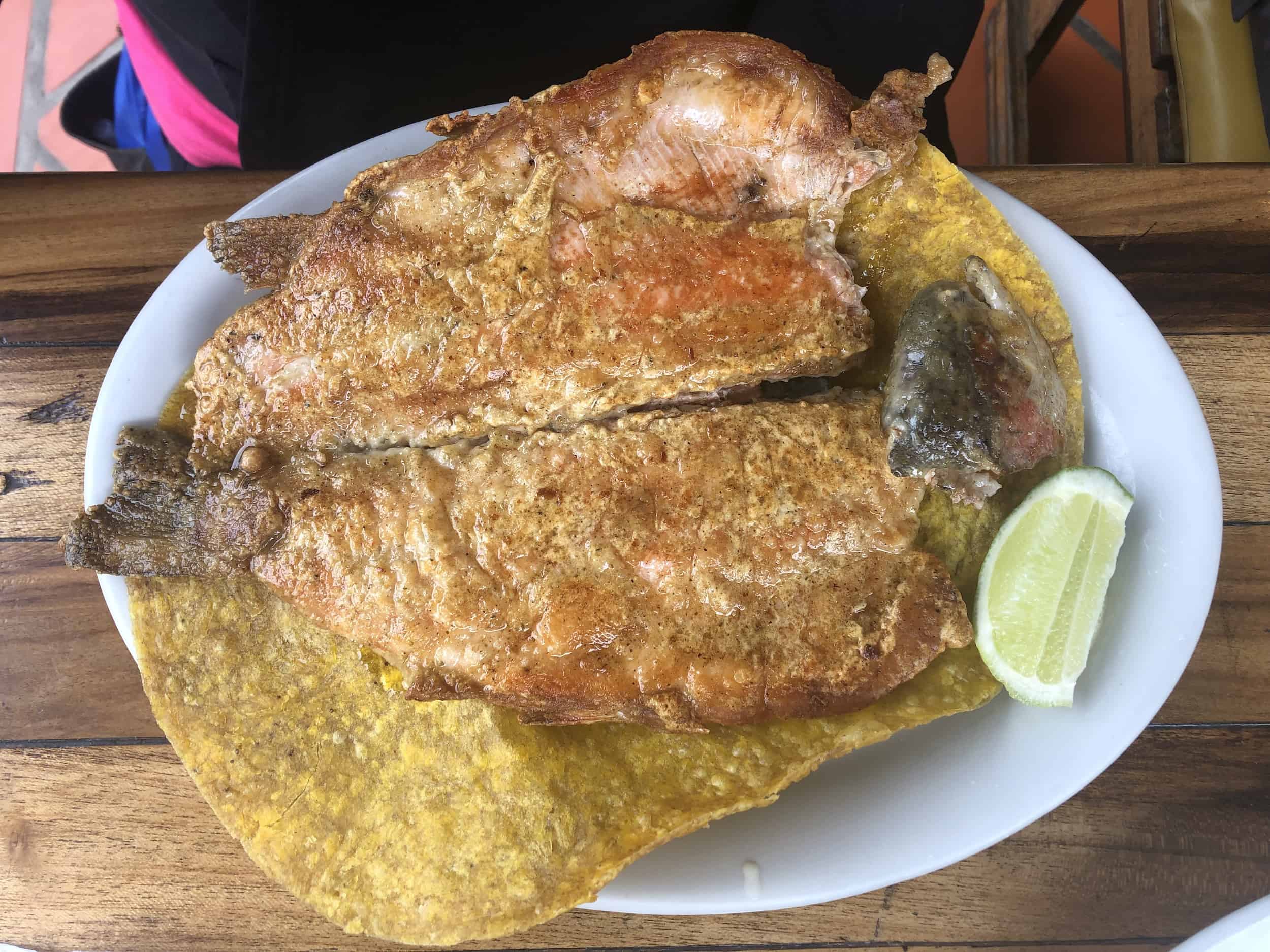 Steamed trout at Bosques de Cocora in Cocora Valley, Colombia