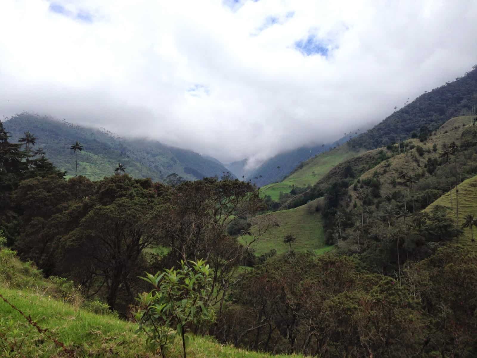 Scenery on the road to Cocora Valley, Quindío, Colombia