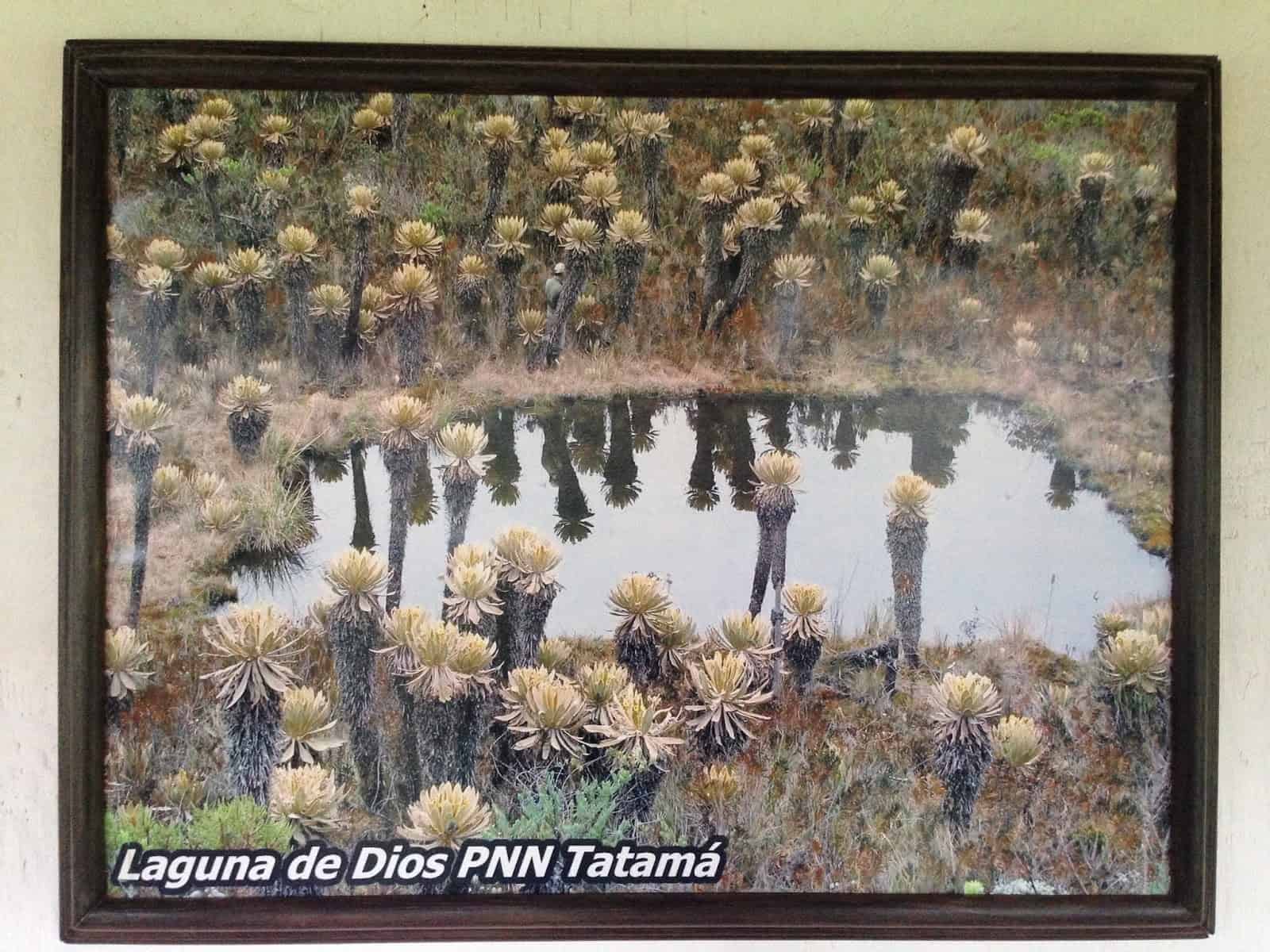 Picture of Laguna de Díos in Parque Nacional Natural Tatamá in Colombia