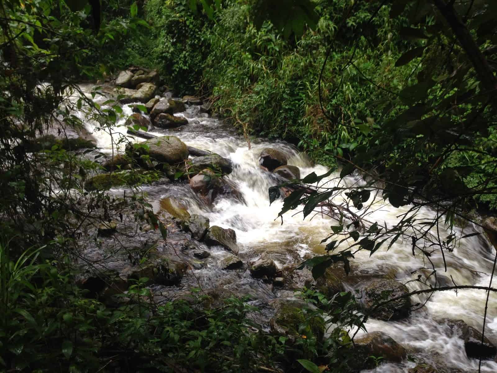 River in Parque Nacional Natural Tatamá in Colombia