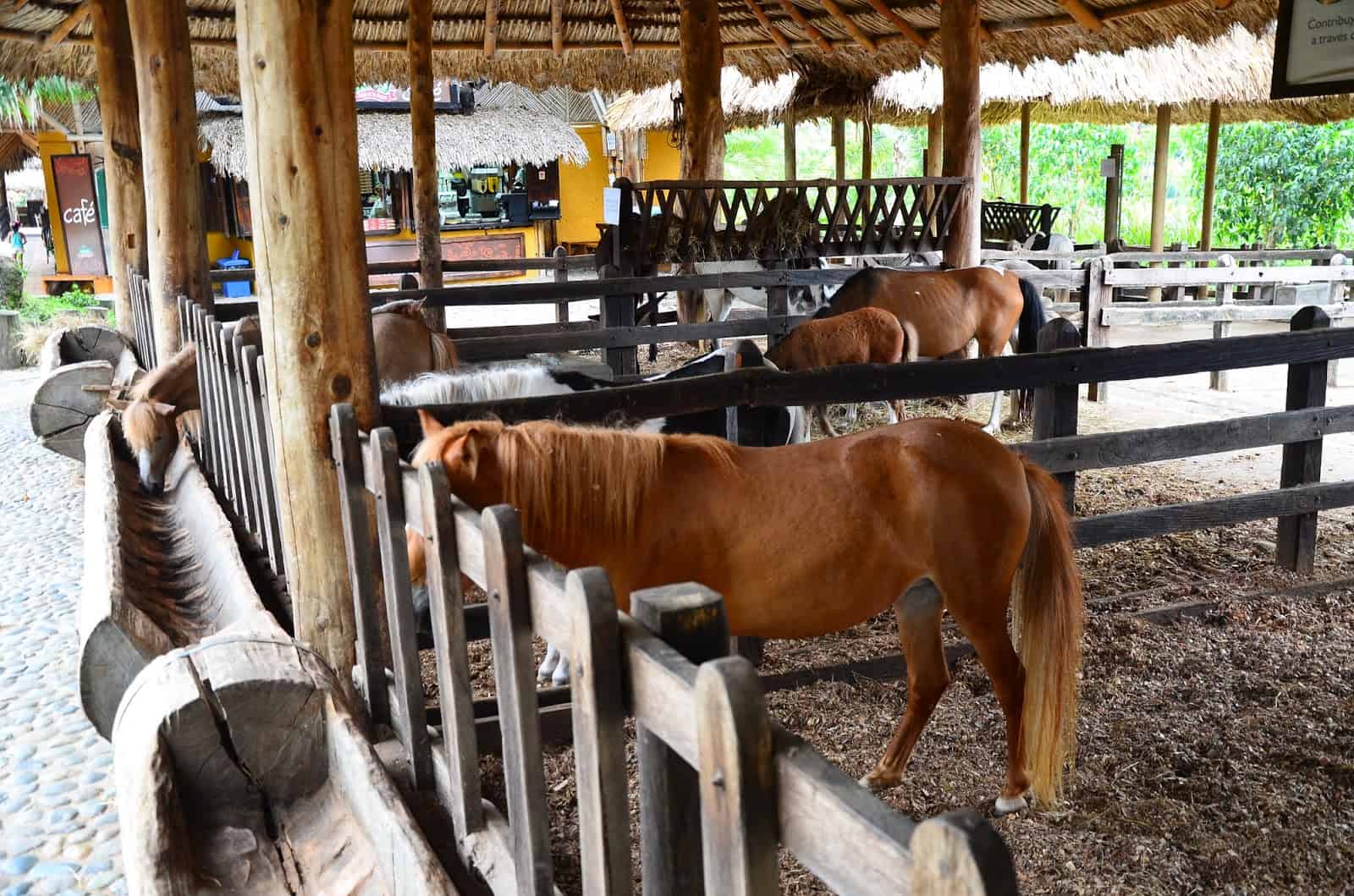 Equine Station at Panaca in Colombia