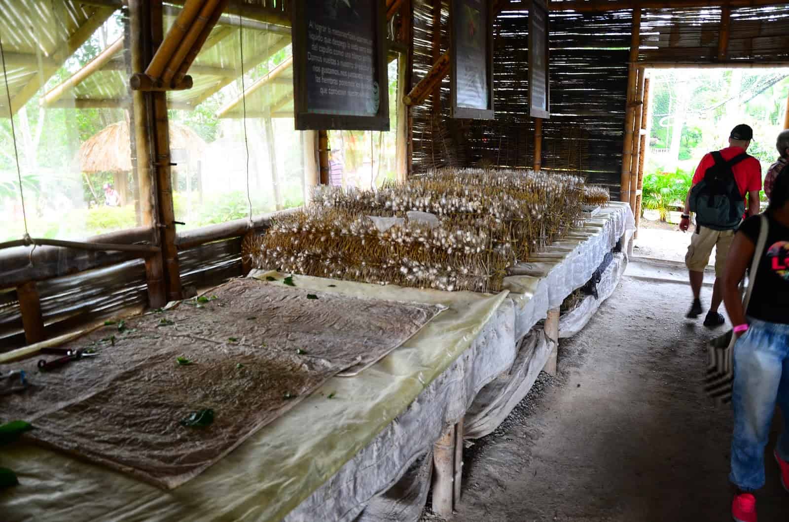 Silk Station at Panaca in Colombia