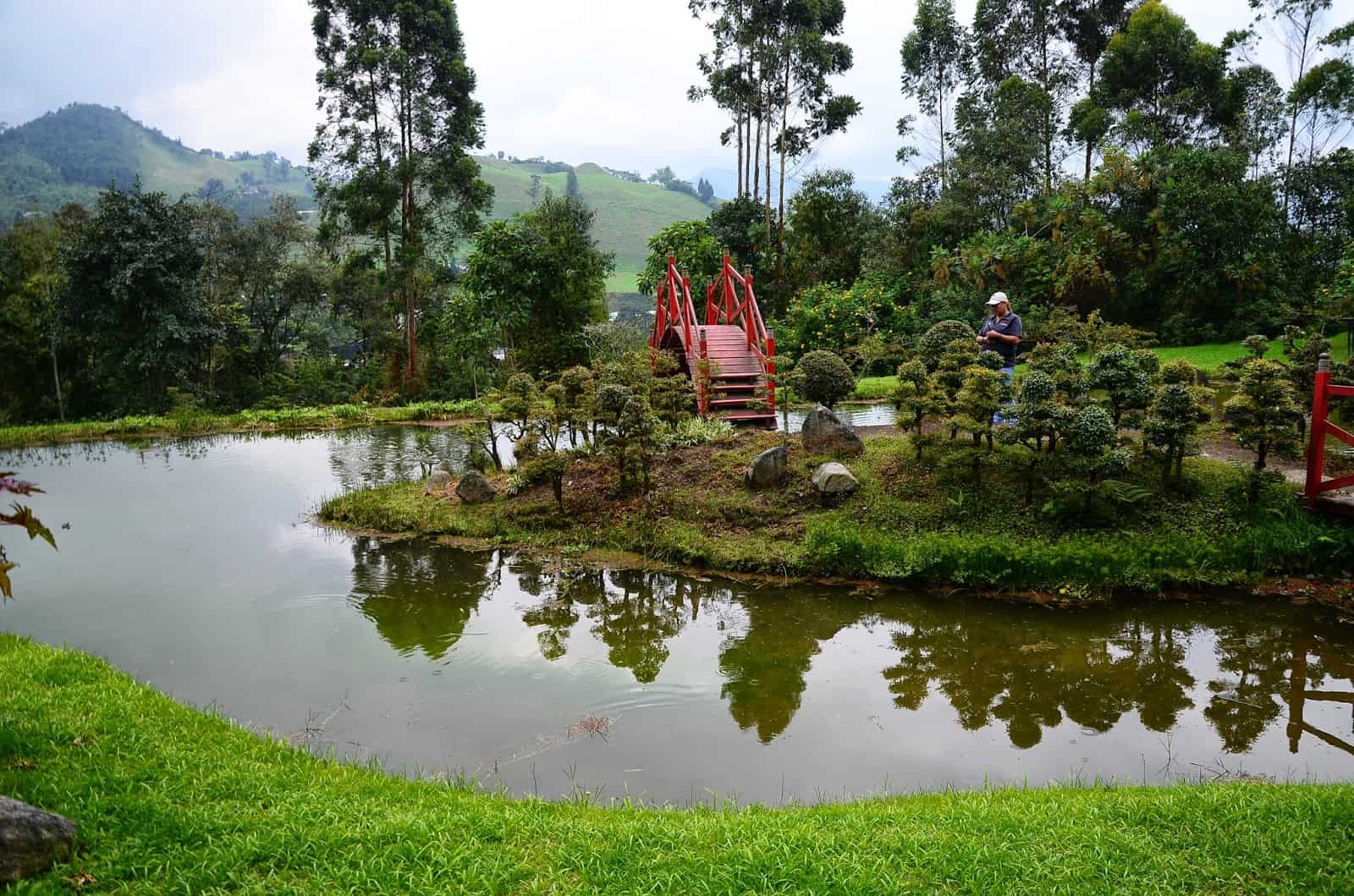 Bonsai Garden at Recinto del Pensamiento in Manizales, Caldas, Colombia
