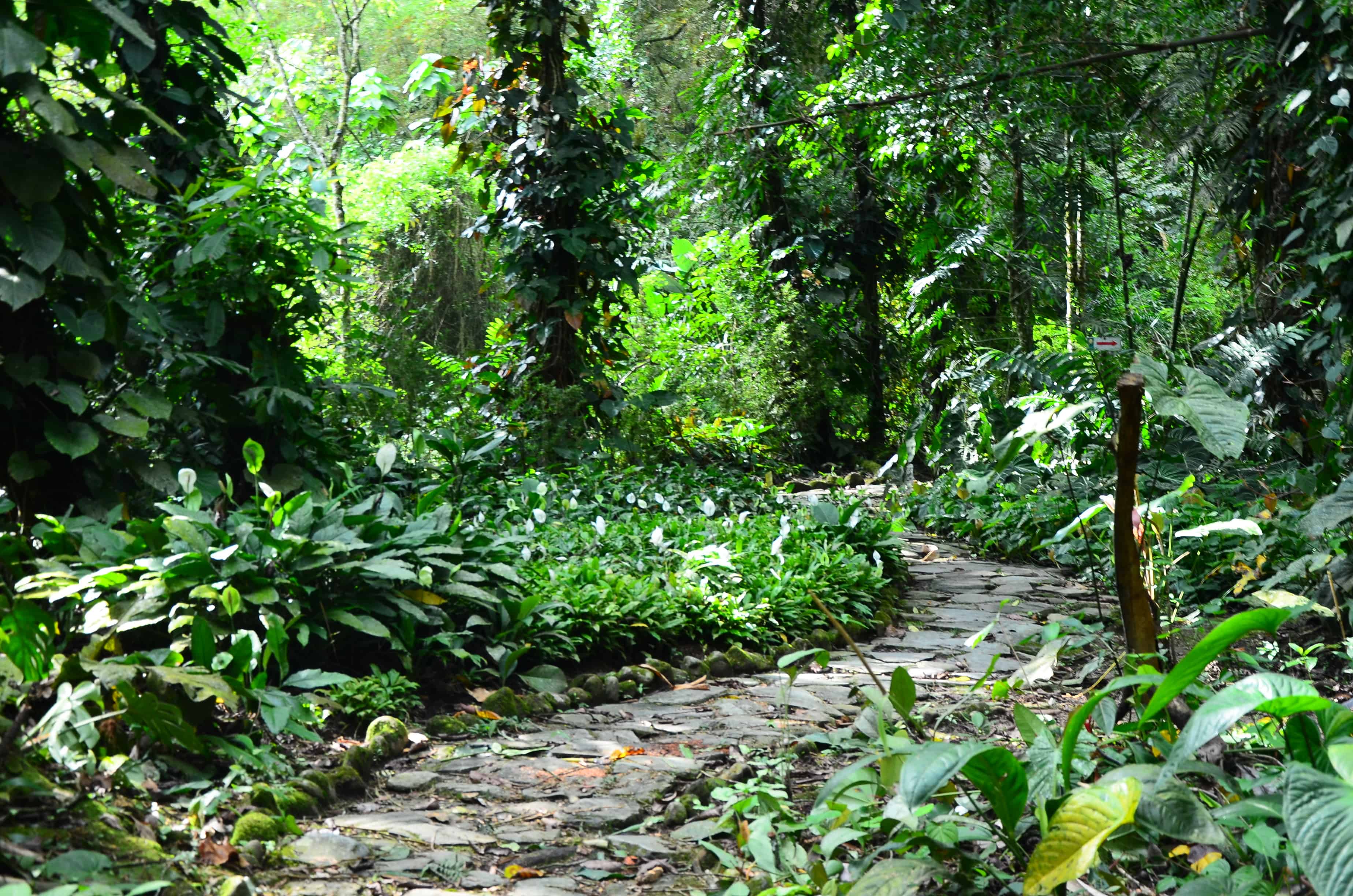 San Jorge Botanical Garden