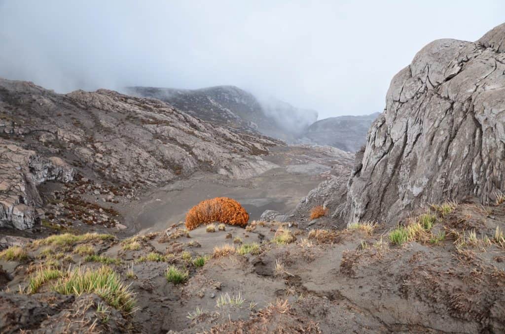 Valley of the Tombs at Nevado del Ruiz, Los Nevados National Park in Colombia