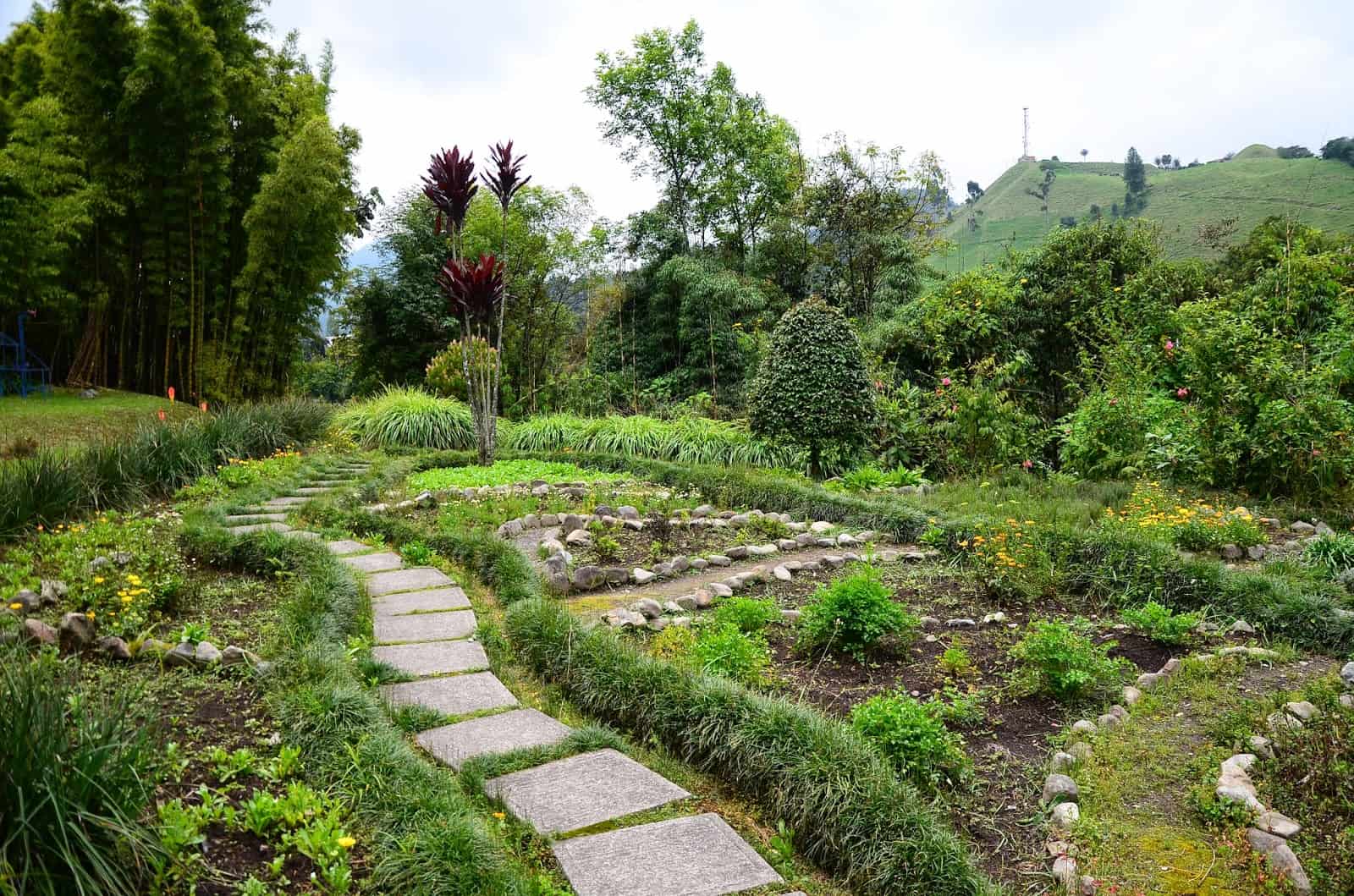 Herb Garden at Recinto del Pensamiento in Manizales, Caldas, Colombia