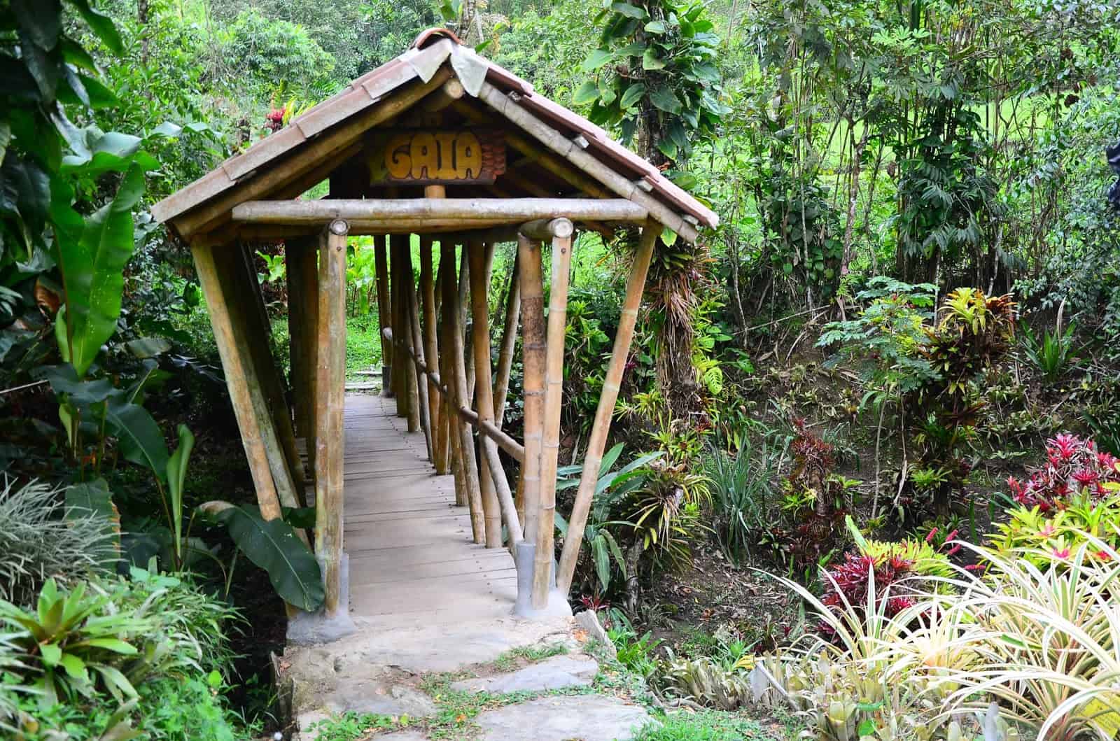 A bridge at San Jorge Botanical Garden in Ibagué, Tolima, Colombia