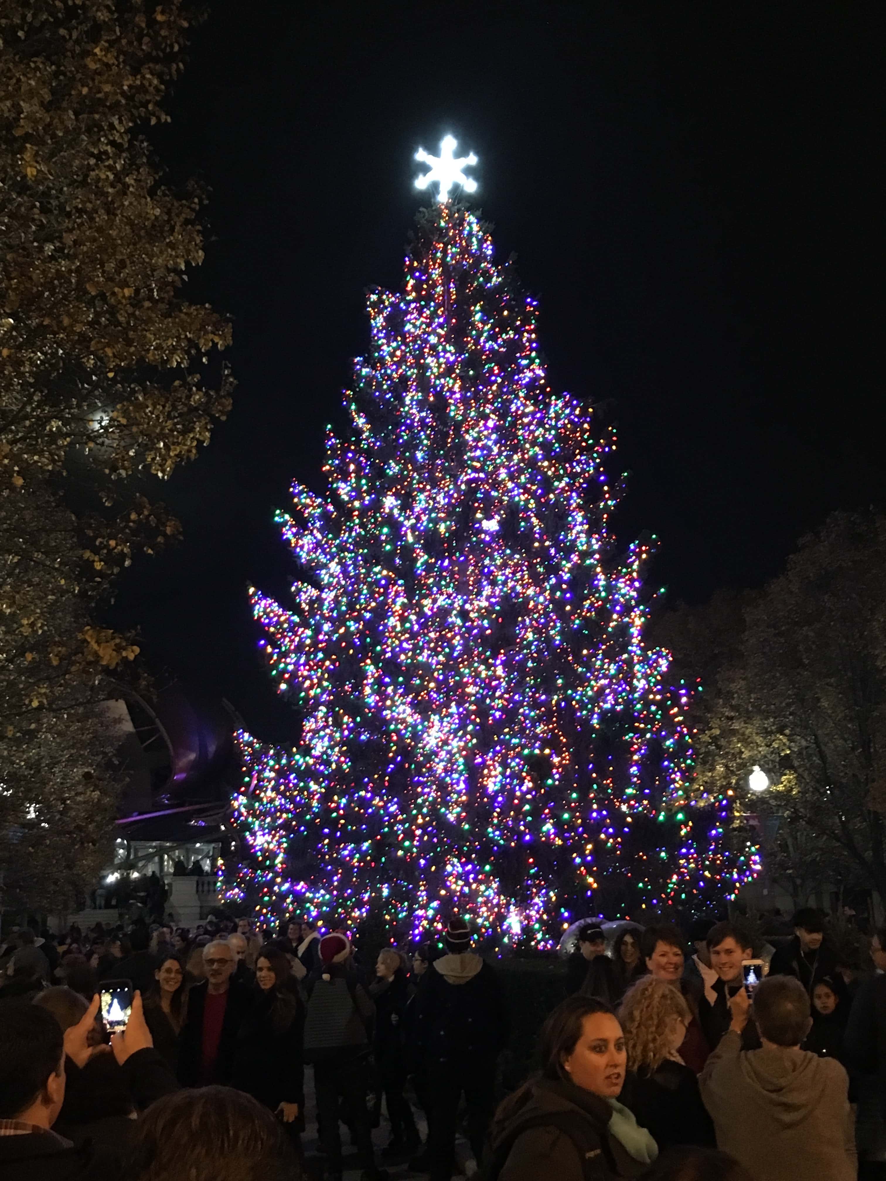 2017 Christmas tree at Millennium Park in Chicago, Illinois