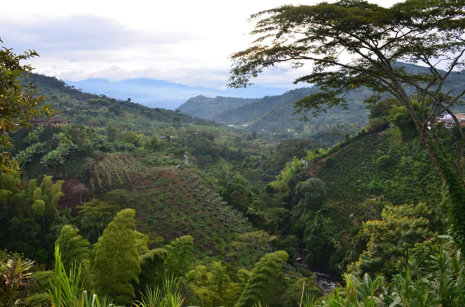 Landscape of Jardín, Antioquia, Colombia
