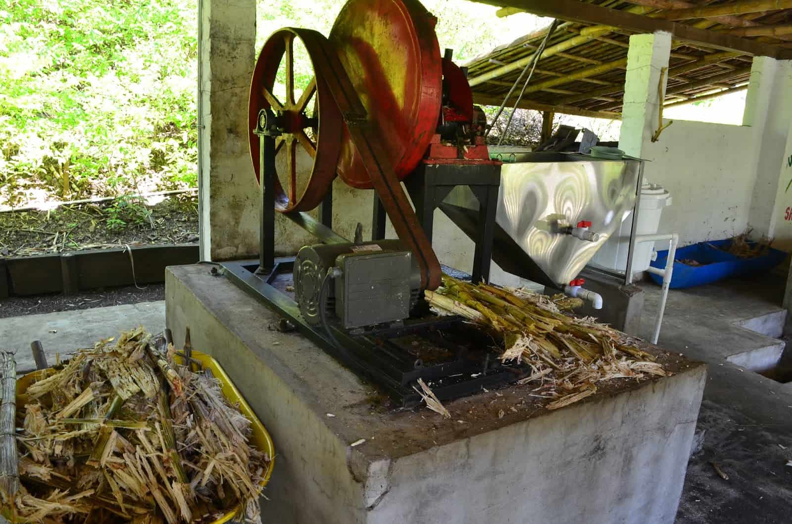 Sugarcane press at World of the Mill