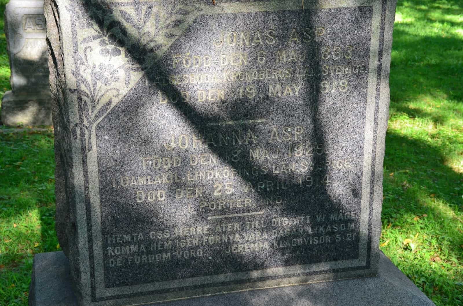Burstrom Swedish Cemetery in Porter, indiana