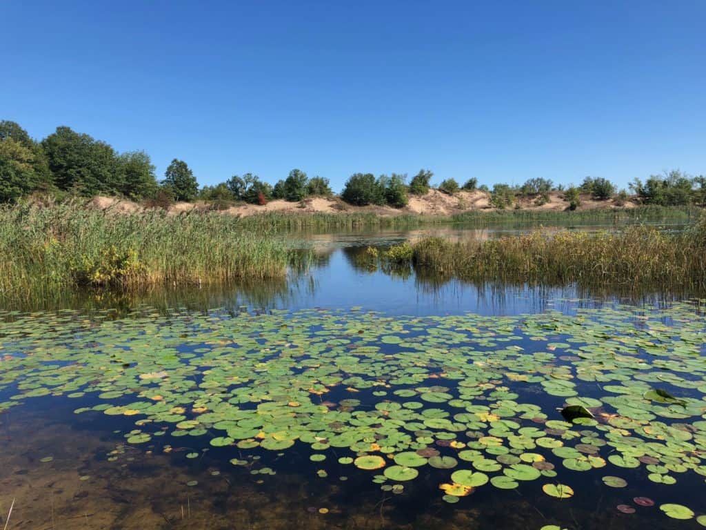 Small lake