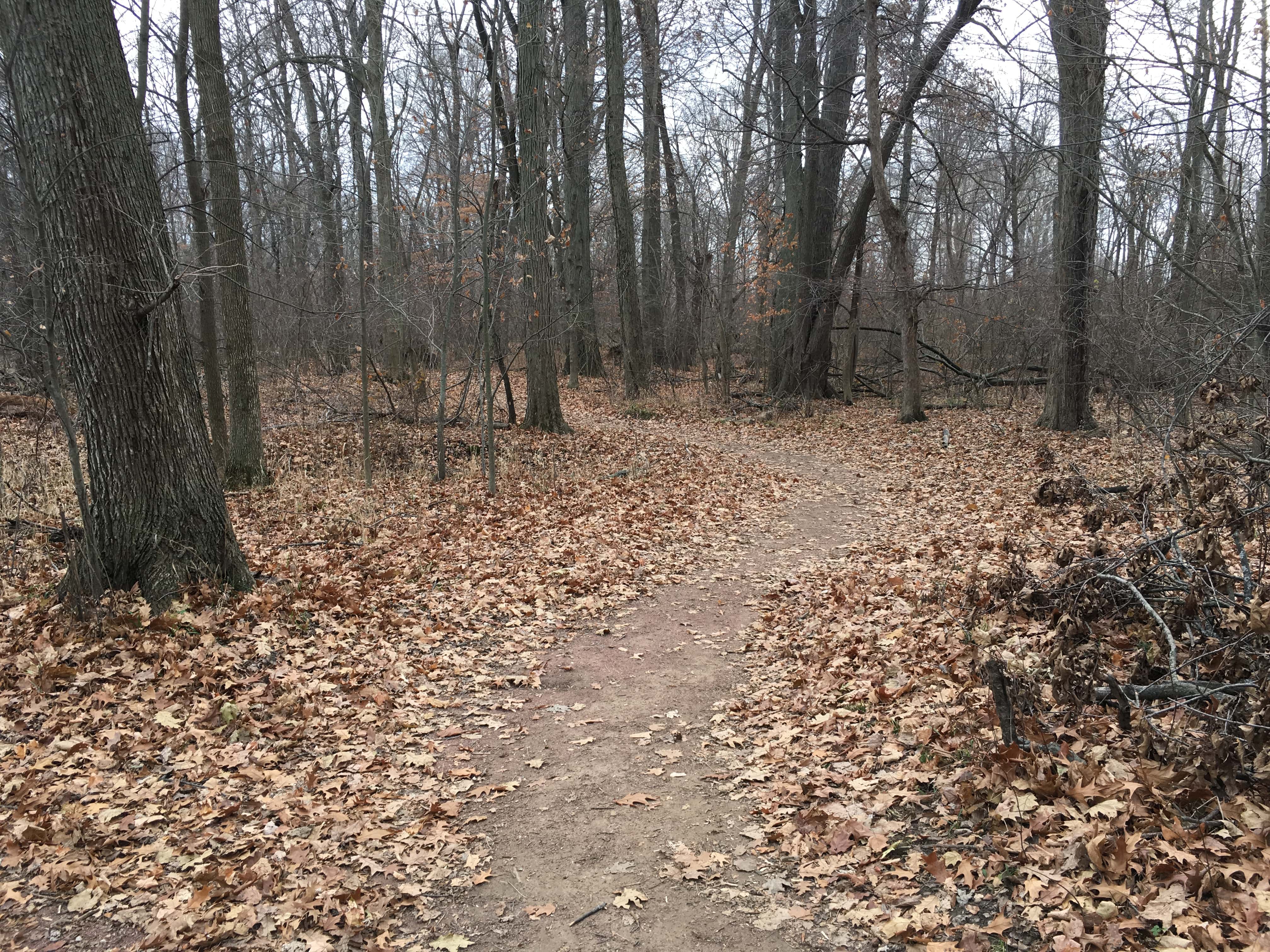 Trail at Coffee Creek Preserve in Chesterton, Indiana